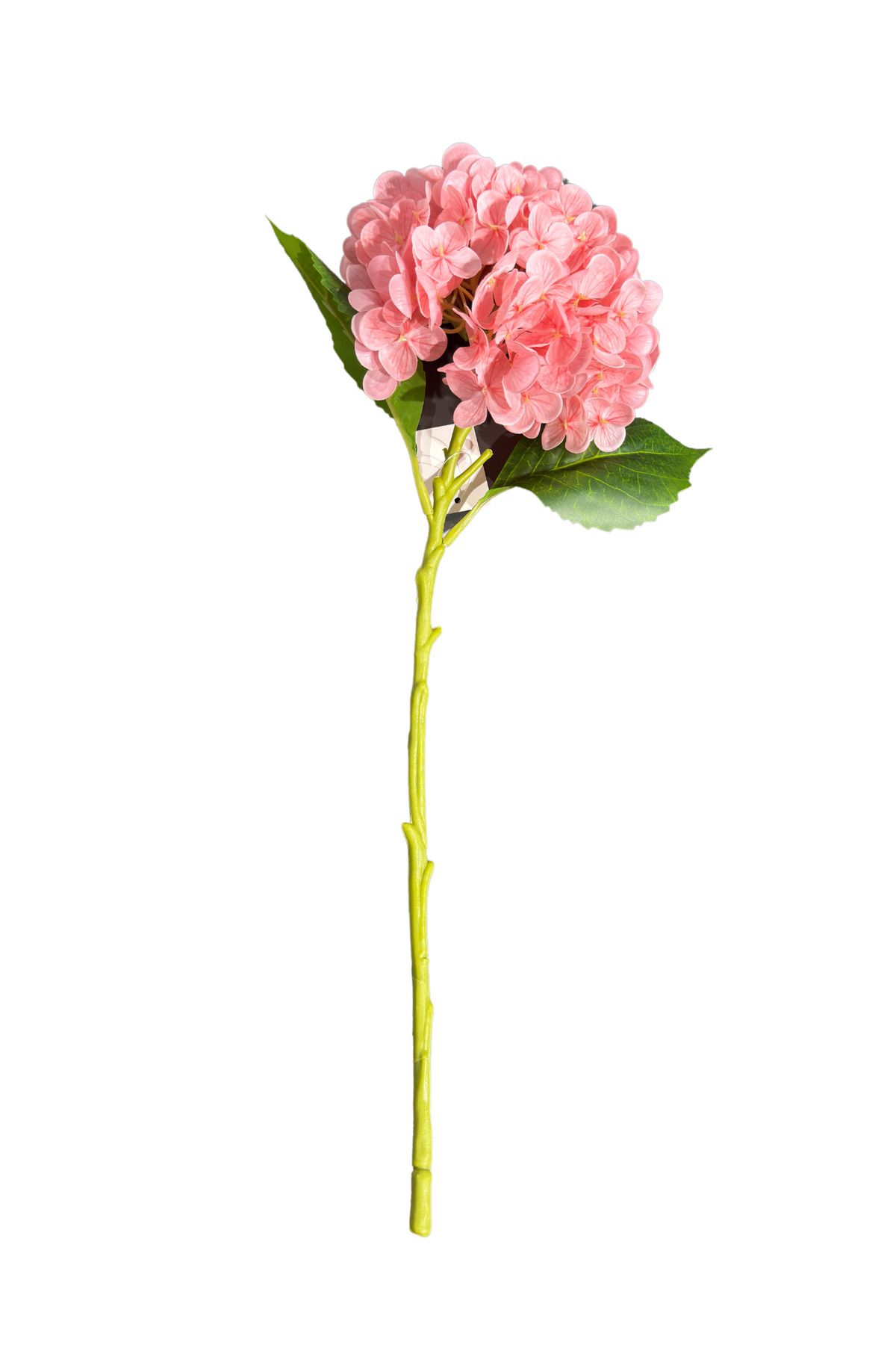 Lara Decor Pembe İthal Ortanca