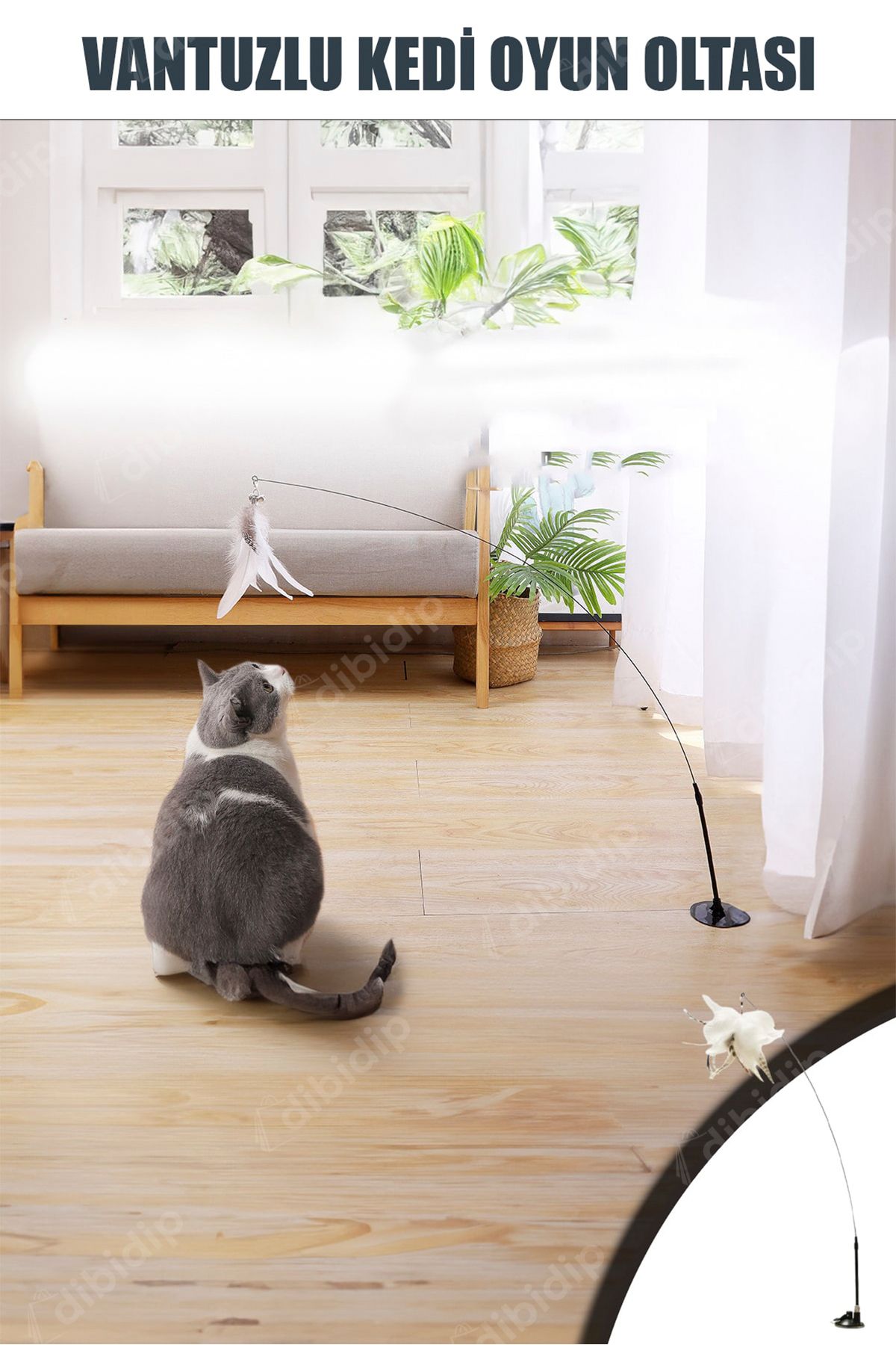 CMT 😺VANTUZLU KEDİ OYUN OLTASI