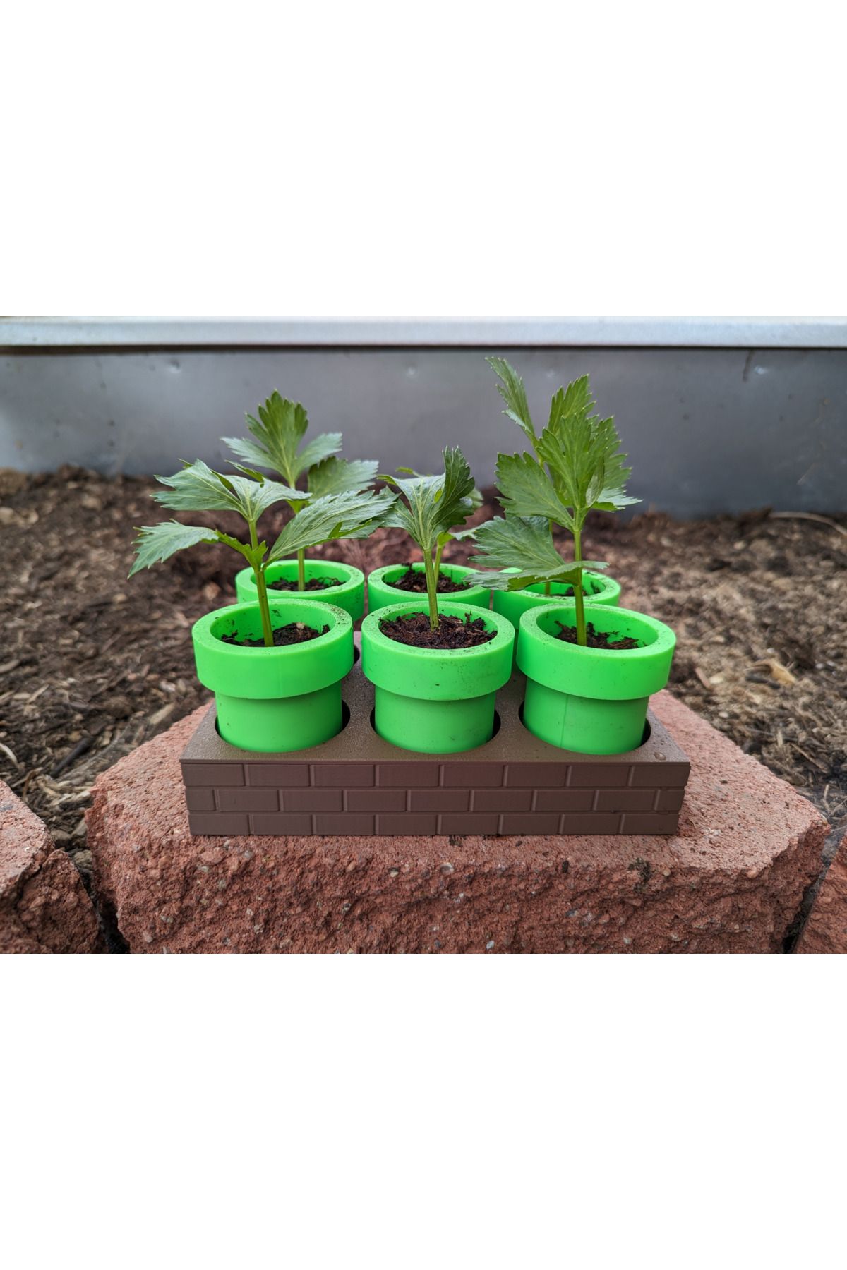 Mekanikcim Mario Temalı 6’lı Self-Watering Tohum Yetiştirme Tepsisi