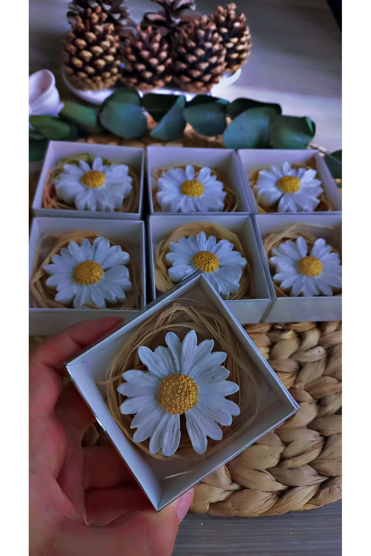 Home 20 li set papatya magnet özel gün hediyeliği kutulu