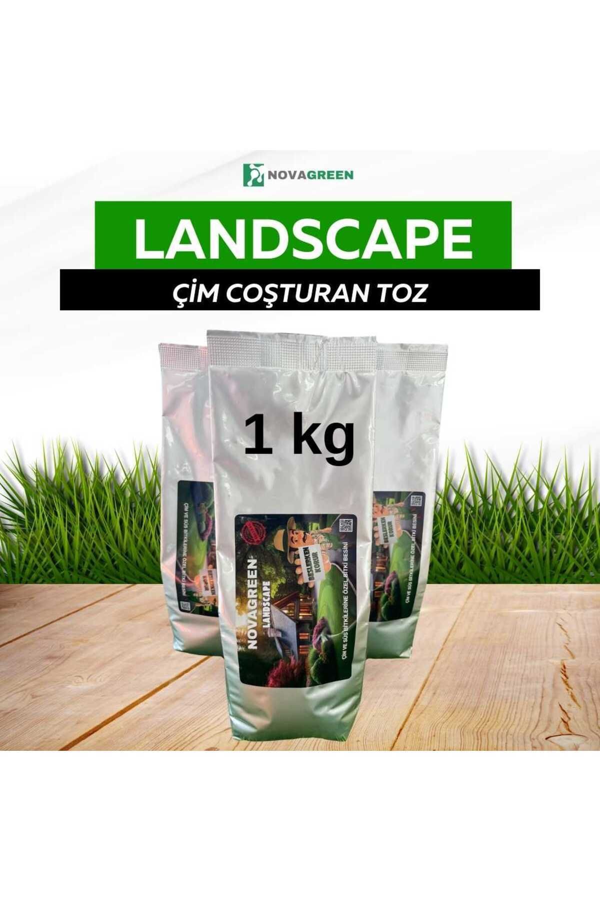 Novagreen Çim Besini, Çim Vitamini, Çim Coşturan 1kg Bitki Besini