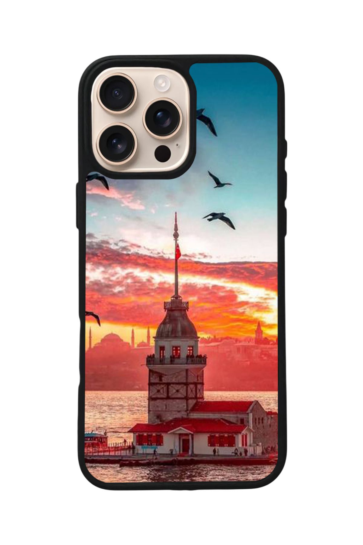 Aksel Kılıf Apple iPhone 16 Pro Uyumlu Baskılı,Mat Siyah,Yumuşak Silikon,Koruyucu,Şok Emici Kapak,Kılıf