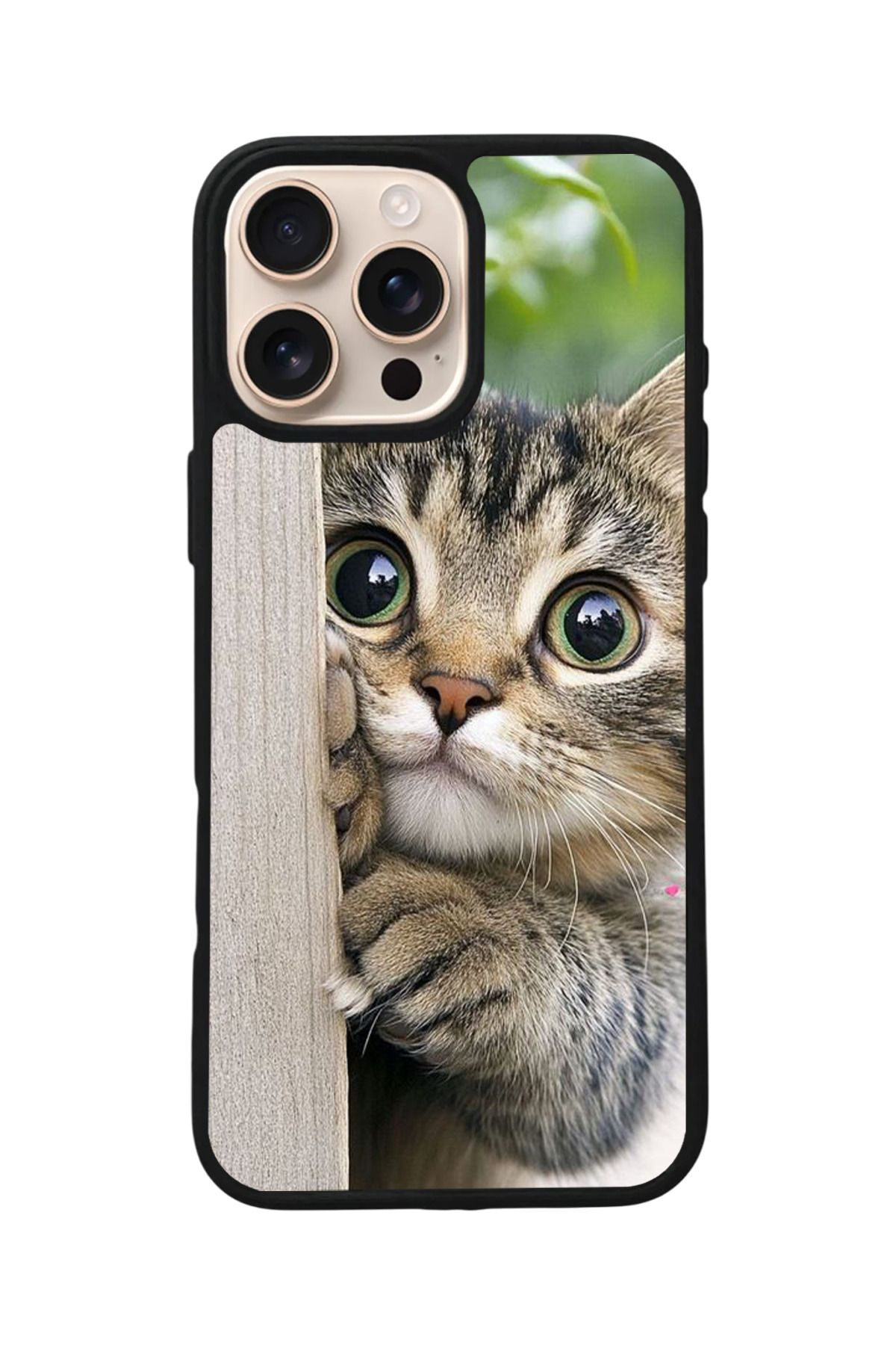 Aksel Kılıf Apple iPhone 16 Pro Uyumlu Baskılı,Mat Siyah,Yumuşak Silikon,Koruyucu,Şok Emici Kapak,Kılıf