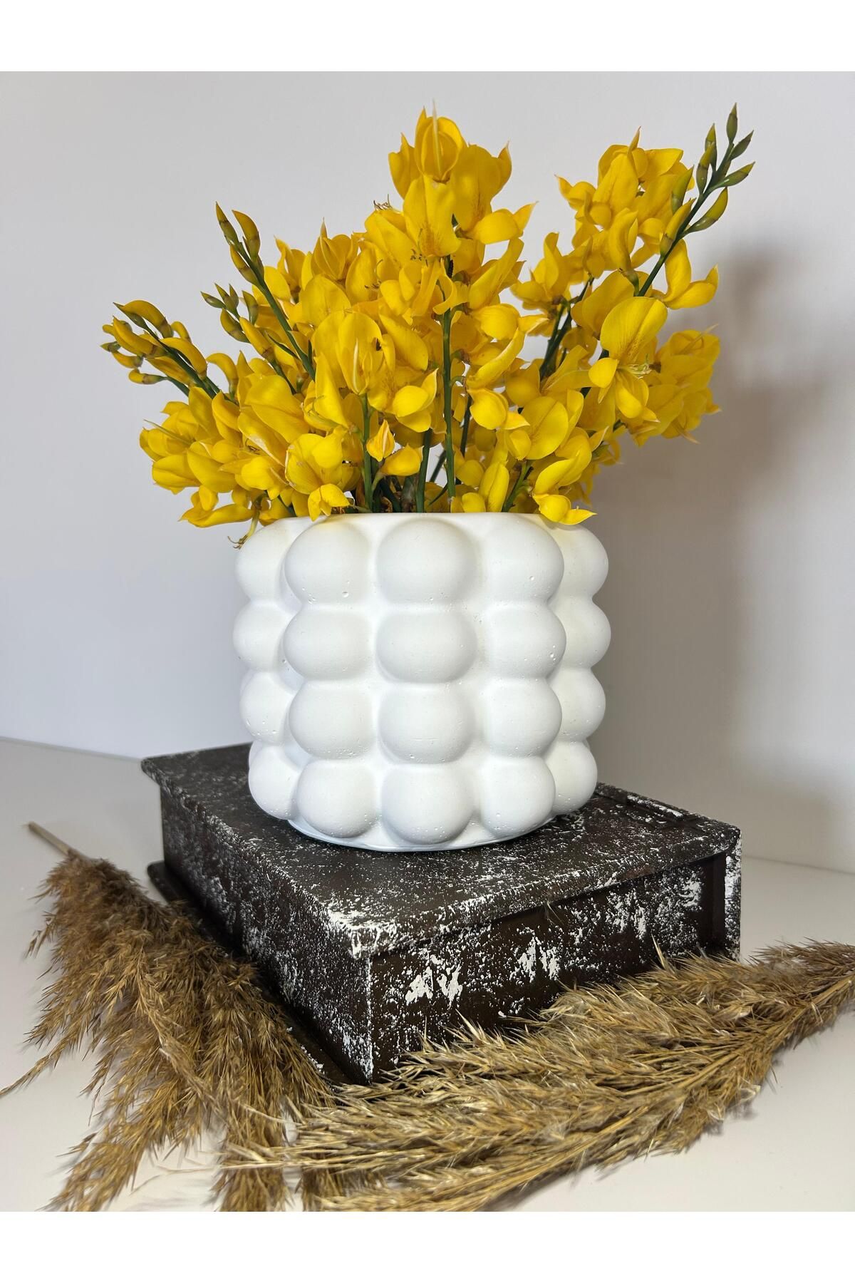 Orvia Life Bubble Beton Vazo/Kaşıklık, Saksı