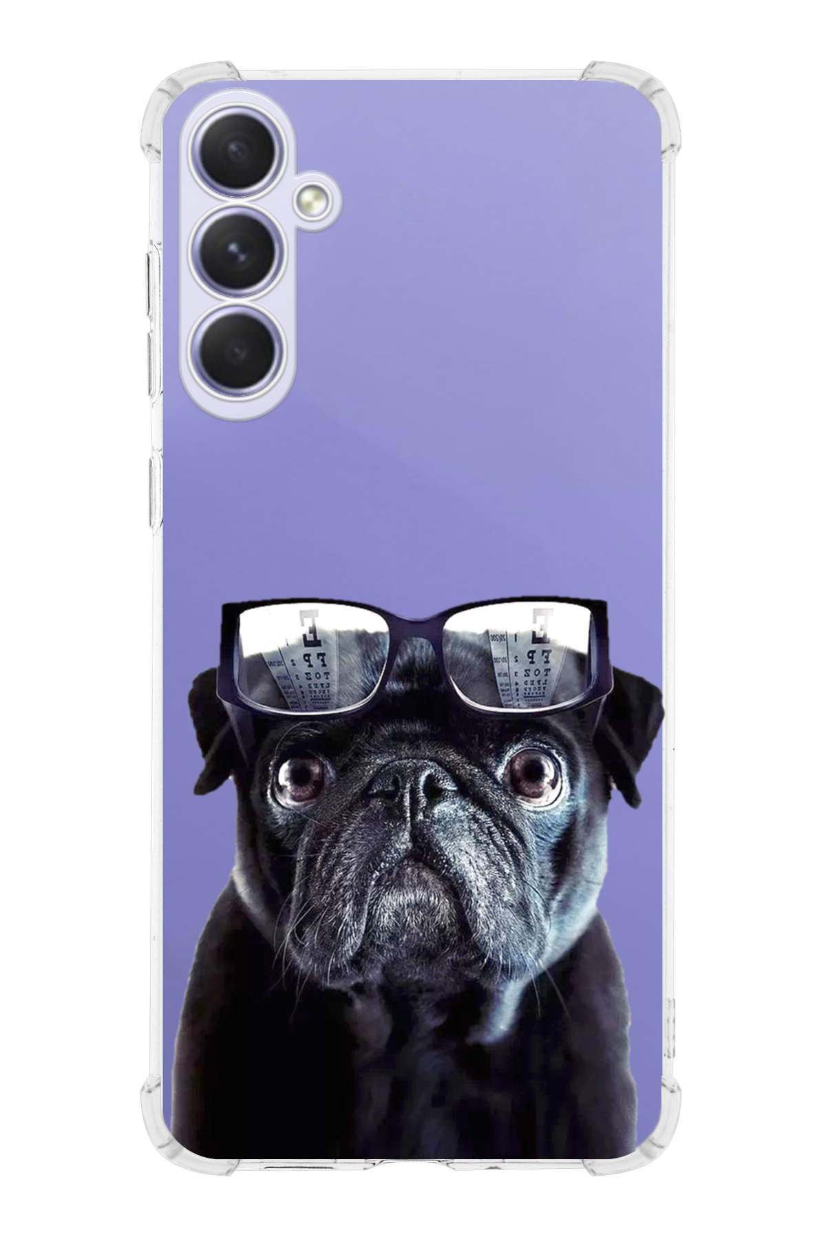 Samsung Galaxy M35 ile Uyumlu Köpek 3 Baskılı Şeffaf Köşe Korumalı Antişok Kılıf