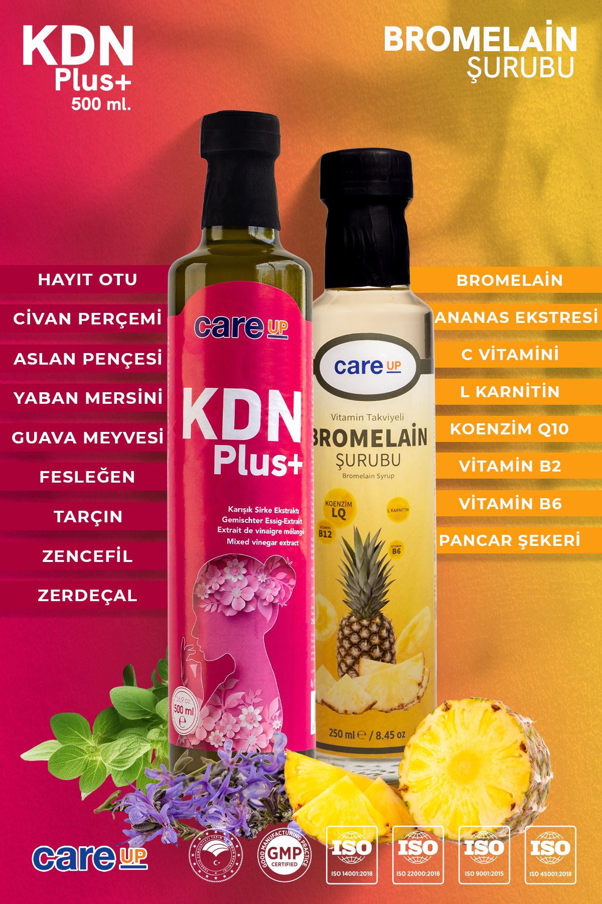 careup Kdn Plus Hayıt Otu İçeren Sirke Karışımı 500ml + Bromelain Ananas Özü İçeren Detox Şurubu 250ml