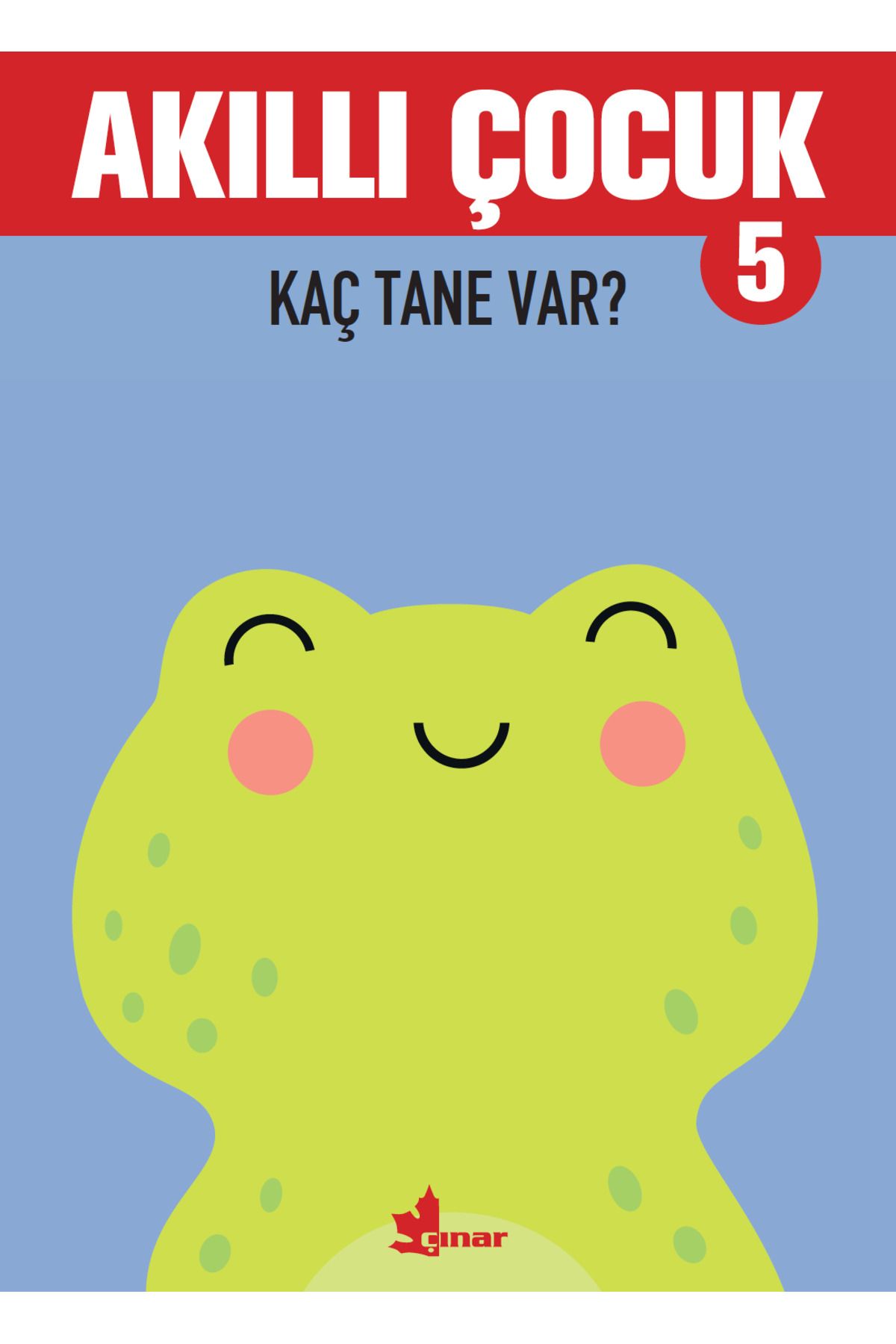 Çınar Yayınları Kaç Tane Var? - Akıllı Çocuk 5