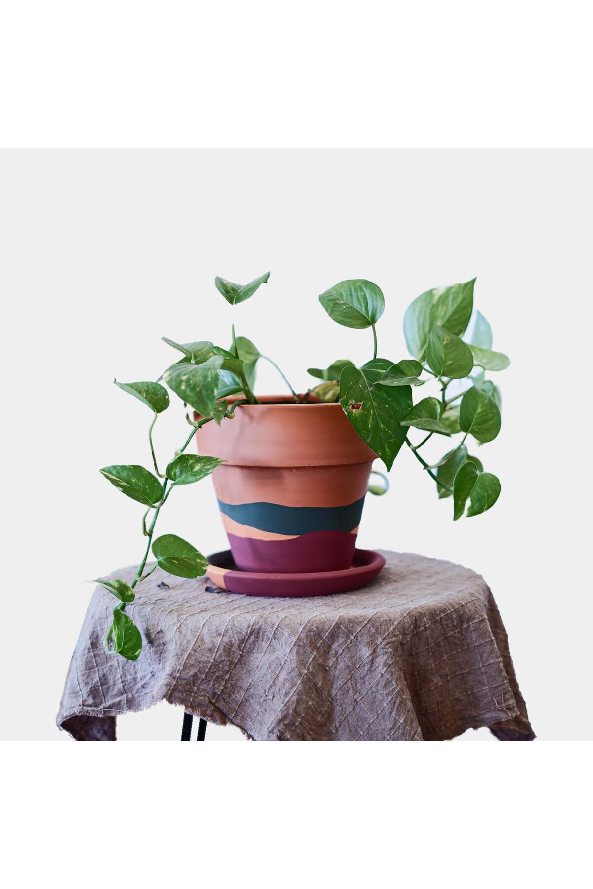 zef design store Terracotta Konik Saksı+Tabak • Waves •5 Farklı Seçenekle (Küçük•Orta•Büyük•2li Set•3lü Set)