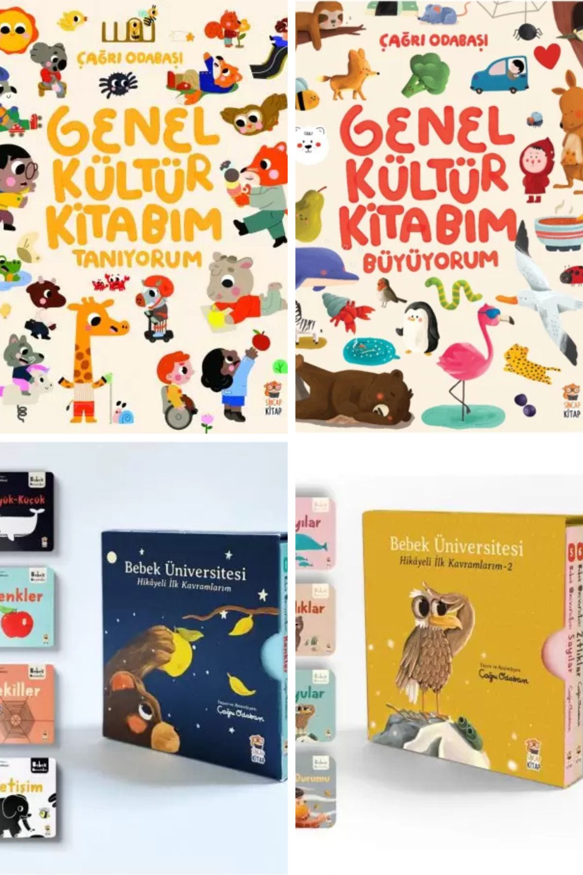 Sincap Kitap bebek üniversitesi & genel kültür kitabım 4 lü set