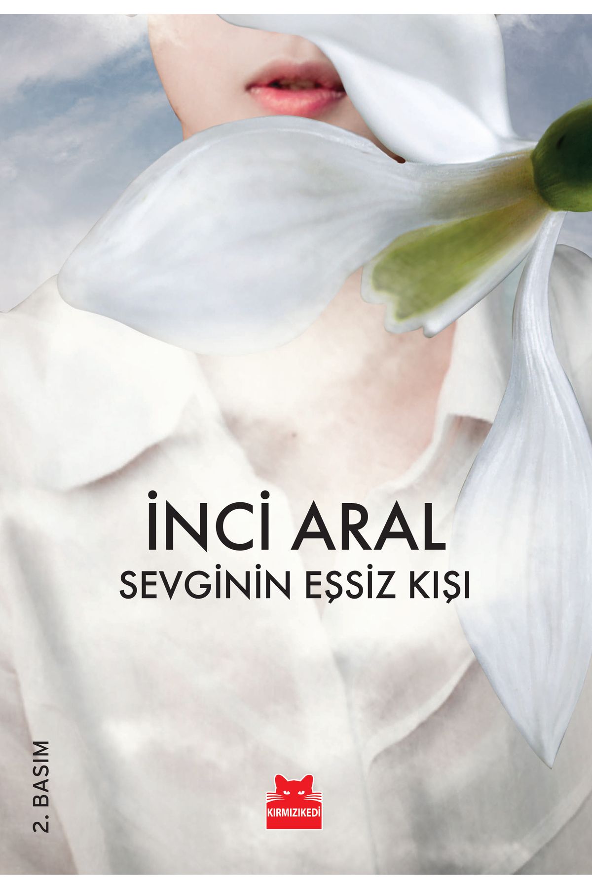Kırmızı Kedi Yayınları Sevginin Eşsiz Kışı