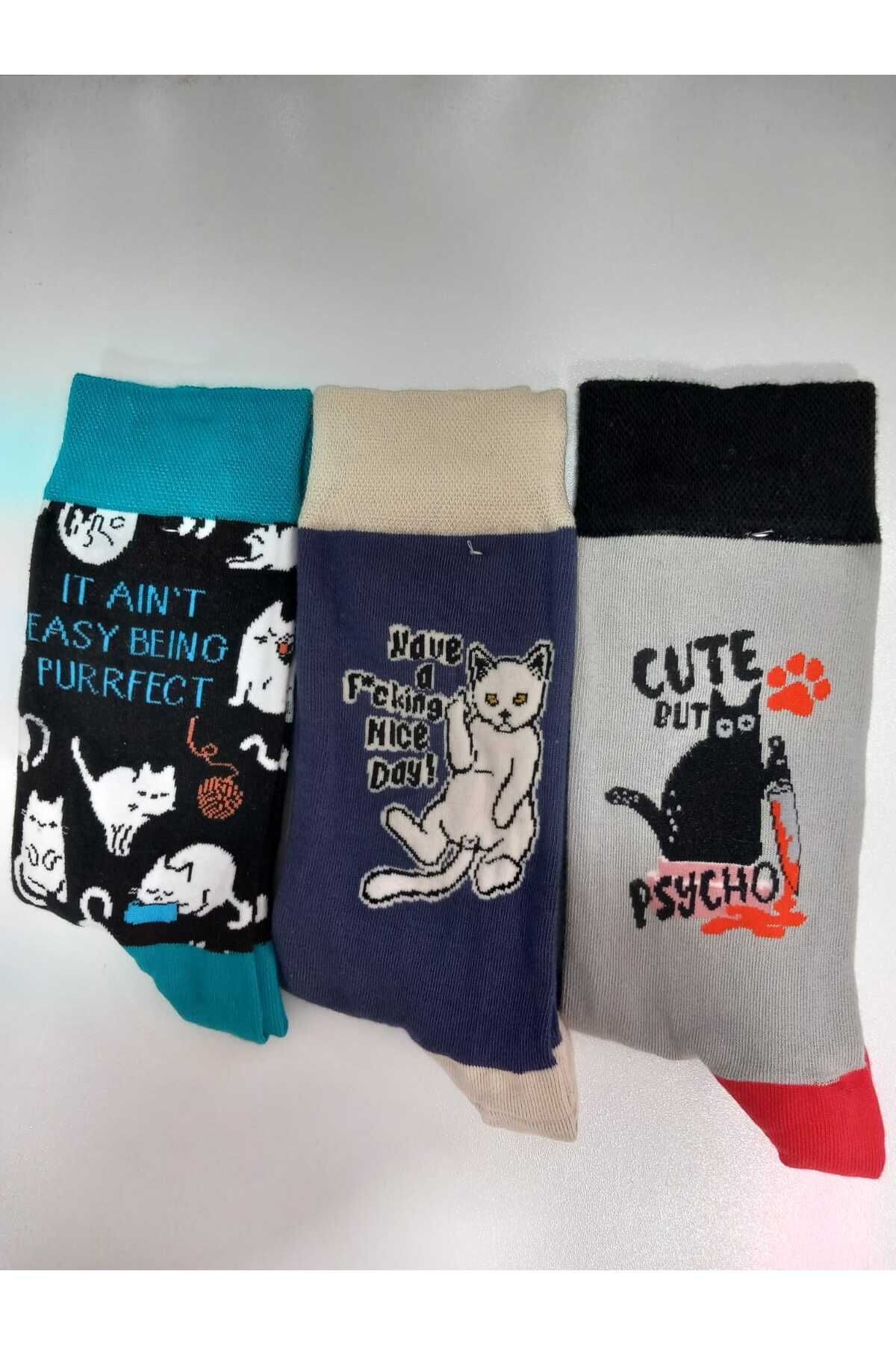 Batik 3 lü kedi desenli kolej çorabı