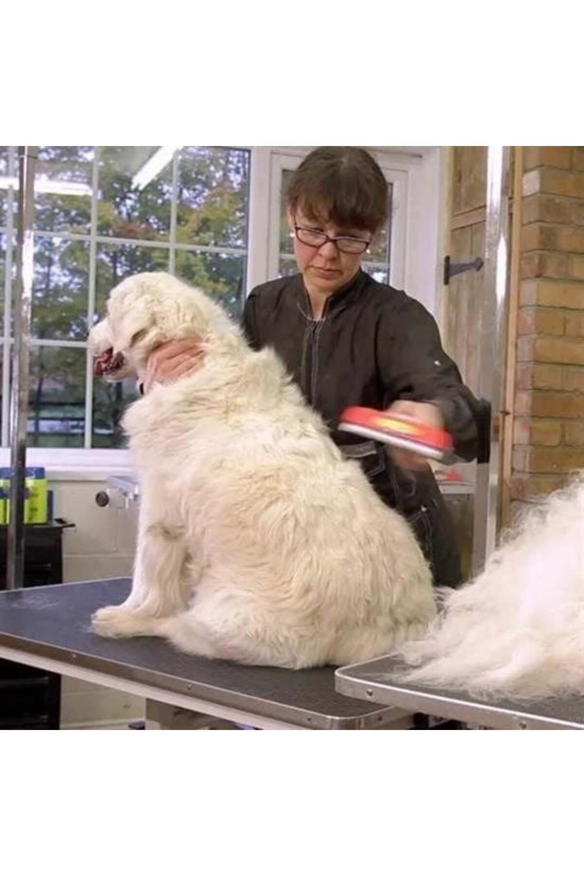 swilex 23 KG Üzeri Uzun Tüylü Köpekler İçin Tüy Toplayıcı Ergonomik Tarak