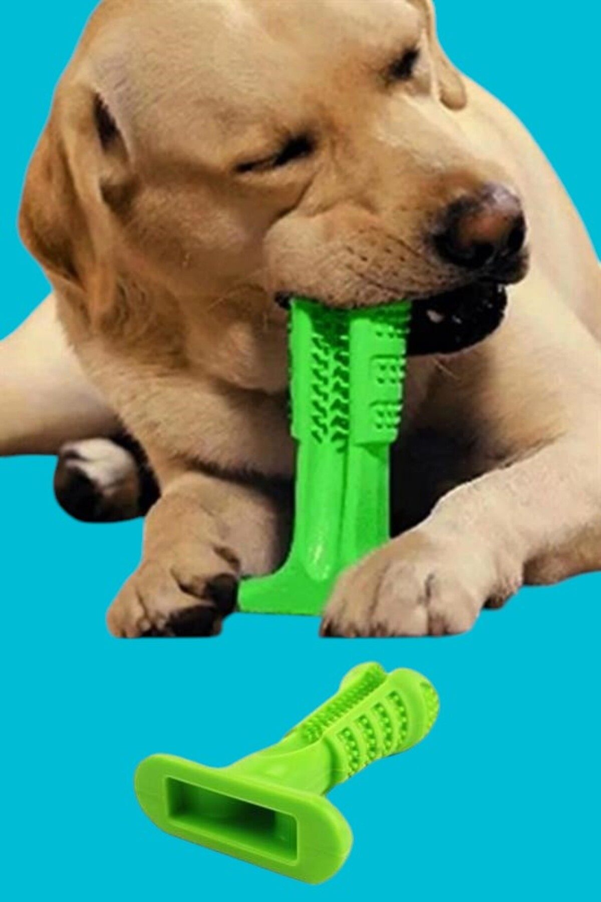 PratikAI Köpek Diş Temizleyici & Kaşıyıcı Oyuncak | Sağlıklı & Eğlenceli