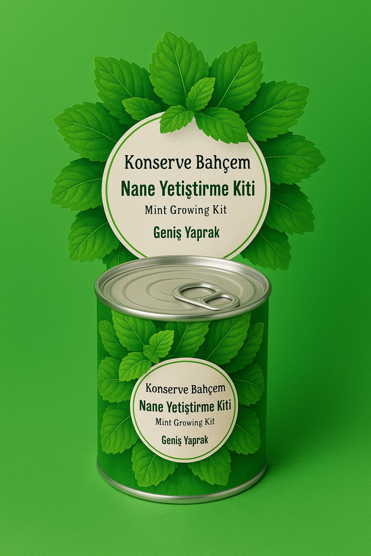 PratikAI Konserve Bahçem Geniş Yapraklı Nane Yetiştirme Kiti | Evde Kolay & Organik