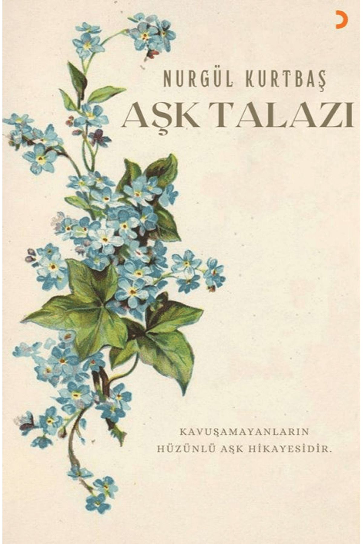 Cinius Yayınları Aşk Talazı / Nurgül Kurtbaş / Cinius Yayınları / 9786256011236