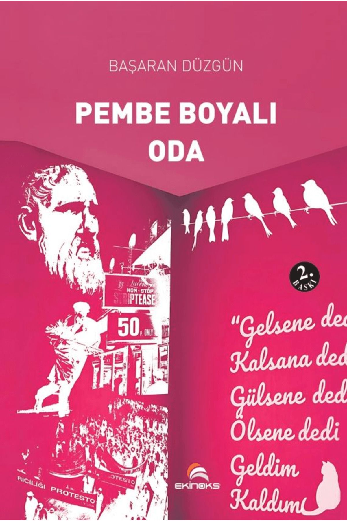 Ekinoks Yayın Grubu Pembe Boyalı Oda / Başaran Düzgün / Ekinoks Yayın Grubu / 9786257995351