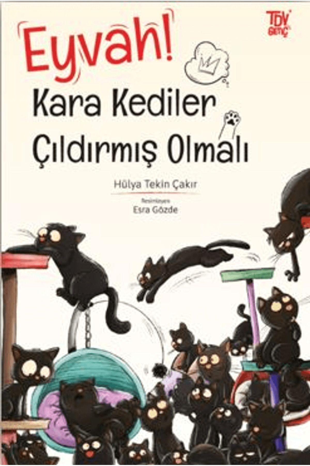 Türkiye Diyanet Vakfı Yayınları Eyvah Kara Kediler Çıldırmış Olmalı / Türkiye Diyanet Vakfı Yayınları / 9786254286667