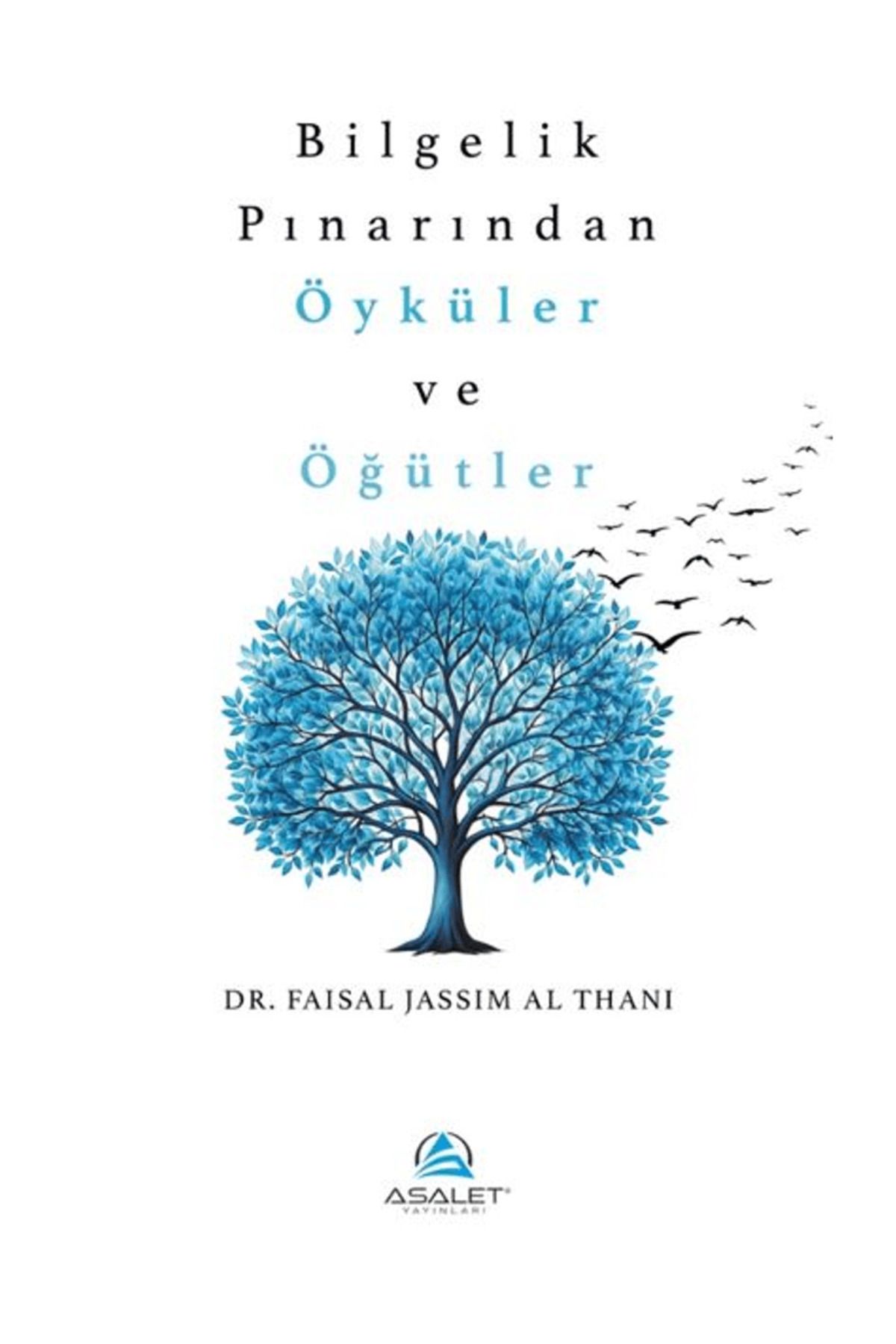 Asalet Yayınları Bilgelik Pınarından Öyküler ve Öğütler / Faisal Jassim Al Thani / Asalet Yayınları / 9786256250628