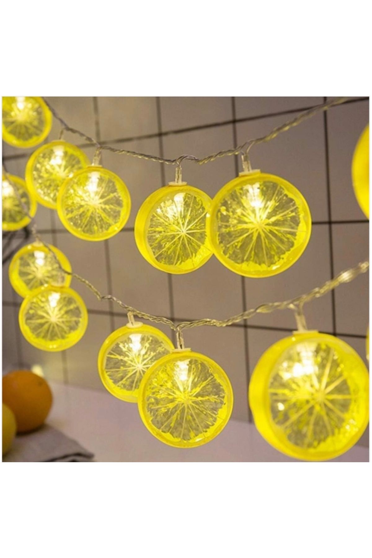 EFEGE HOME 2m 10 Led Pilli 2 Kademeli Limon Led Işık