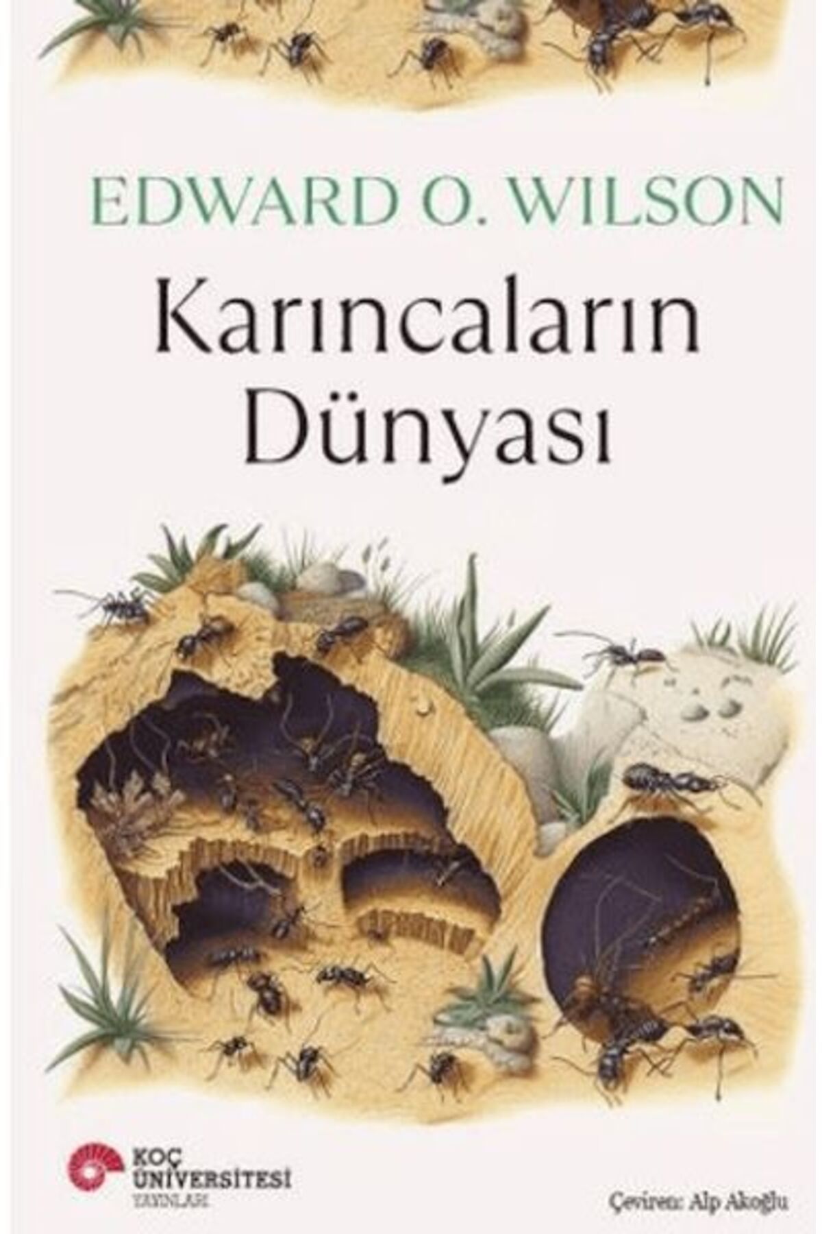 Koç Üniversitesi Yayınları Karıncaların Dünyası