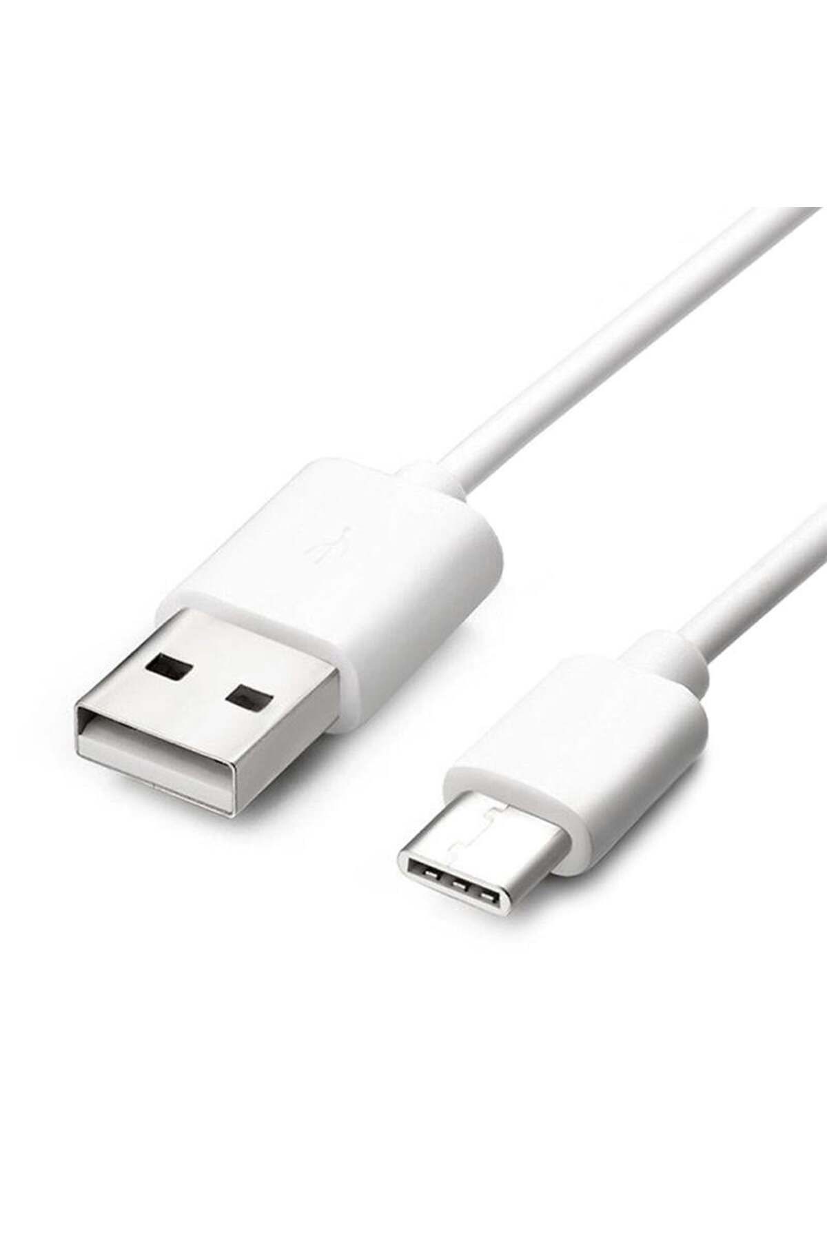 Powermaster Type-C Şarj ve Data Kablosu