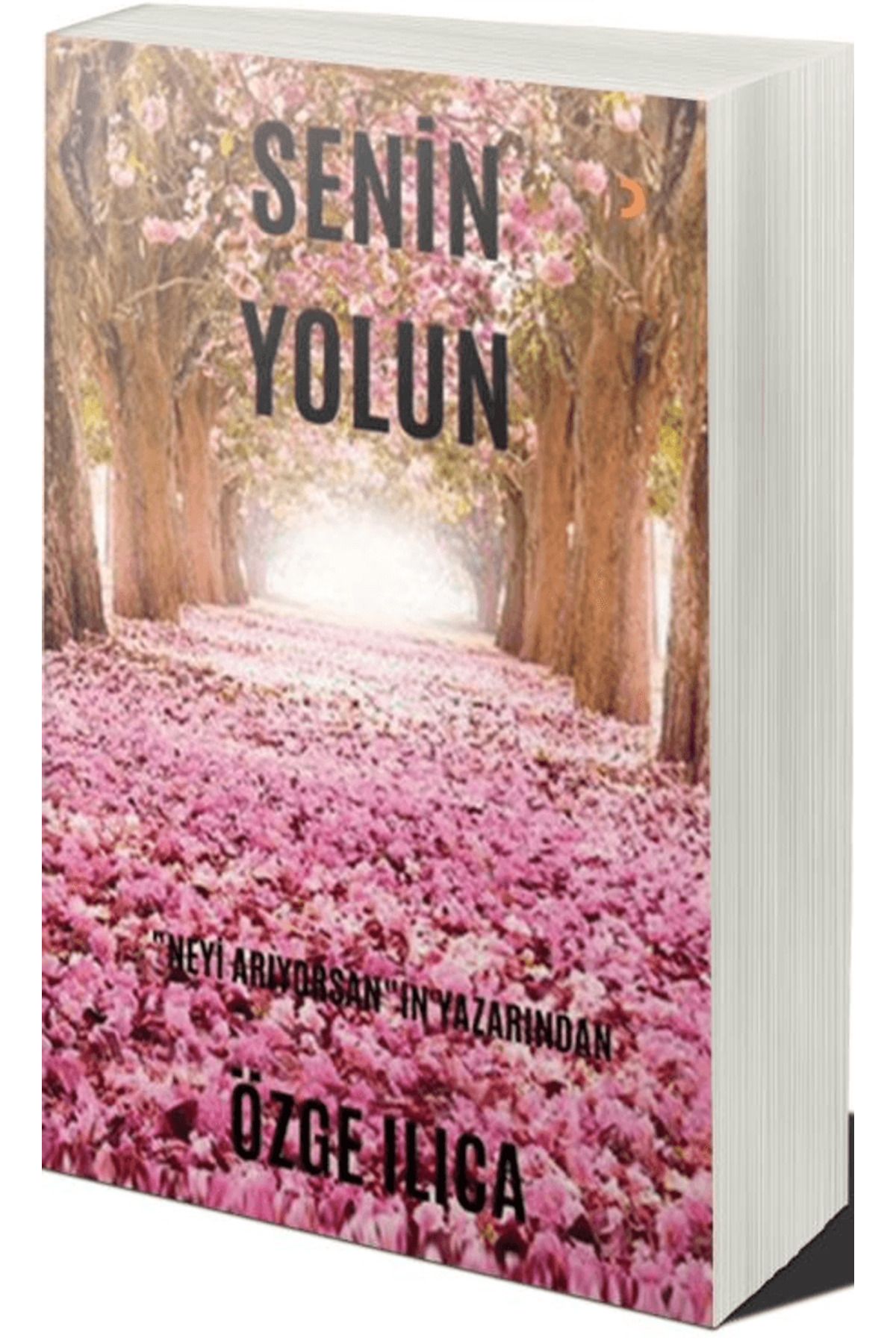 Cinius Yayınları Senin Yolun / Özge Ilıca / Cinius Yayınları / 9786258425345