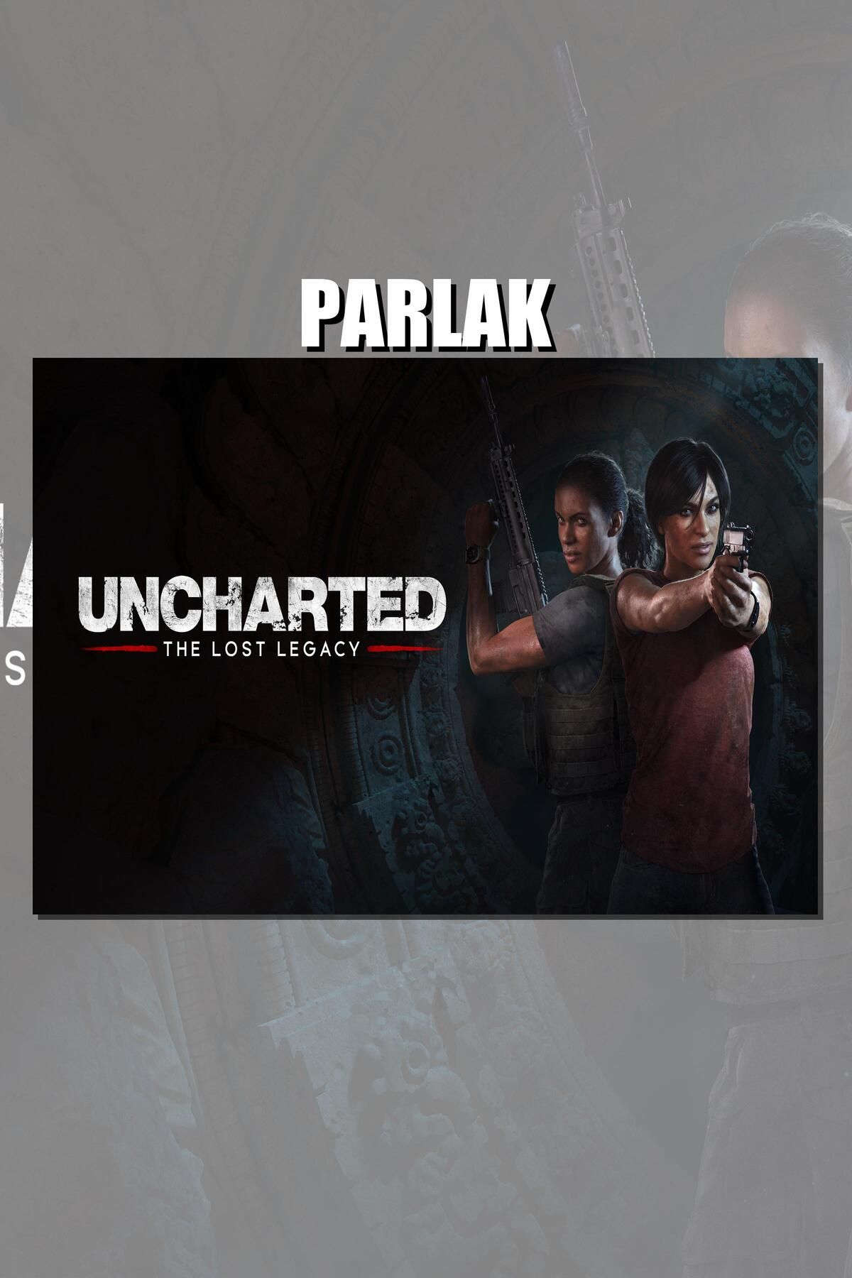 CALLWOOD Uncharted Serisi Çerçevesiz Oyun Posteri - Duvar Kağıdı Yüksek Kaliteli Baskı