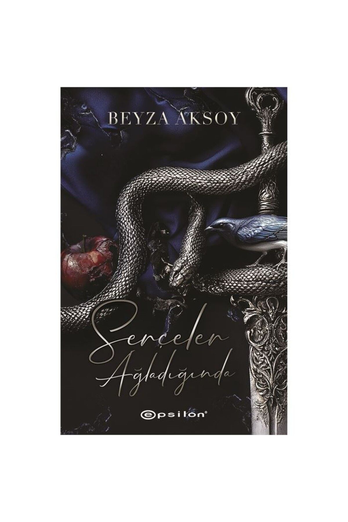Ankara Kitap Merkezi Serçeler Ağladığında Beyza Aksoy Epsilon Yayınları