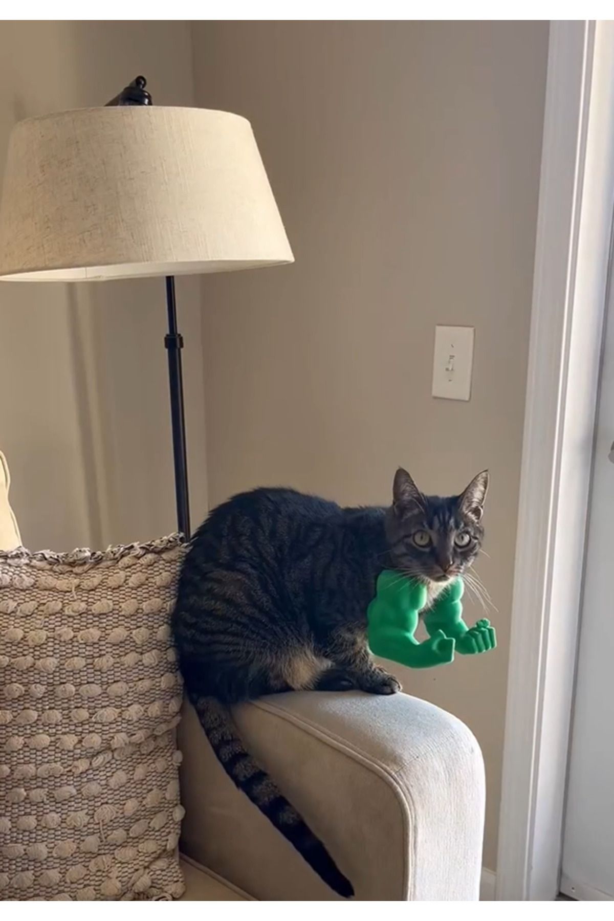 swordslife-Cat Hulk Arm 2
