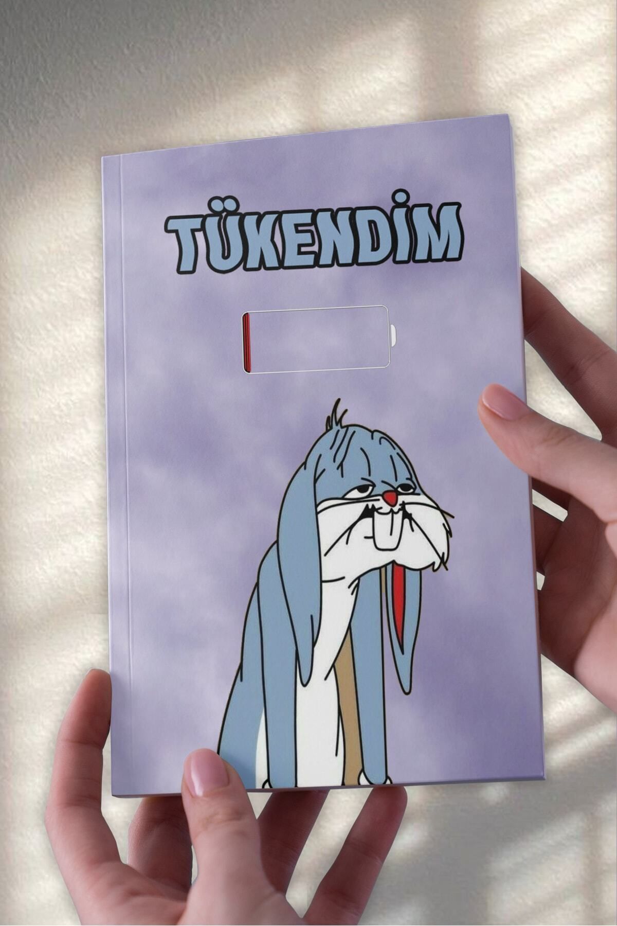 Ludios Buggs Bunny Tükendim Tasarımlı Desenli A5 Çizgisiz Defter (50 Sayfa)