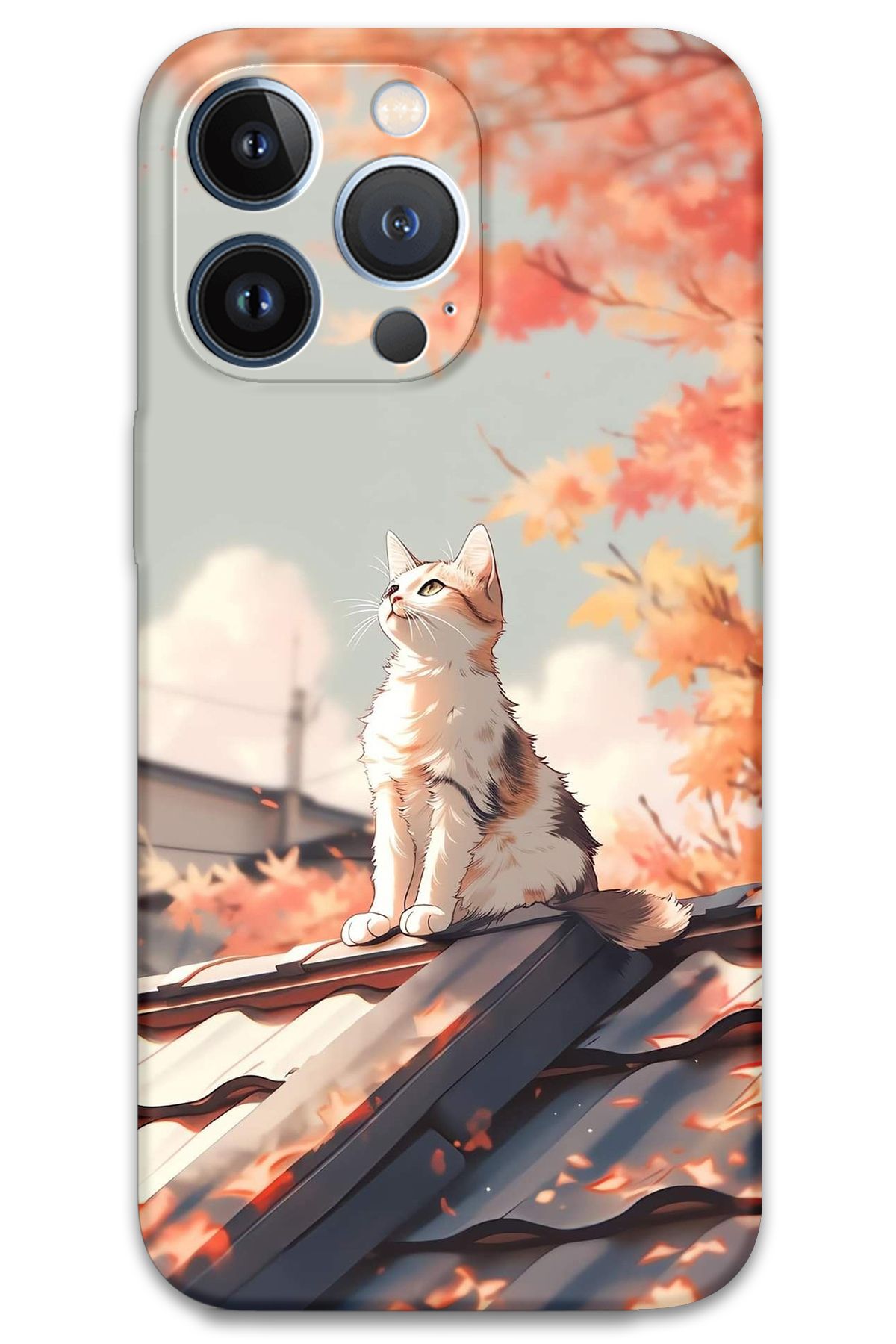 Gramaphone iPhone 13 Pro Uyumlu Kedi Desenli Telefon Kılıfı + Ekran Koruyucu - 5784