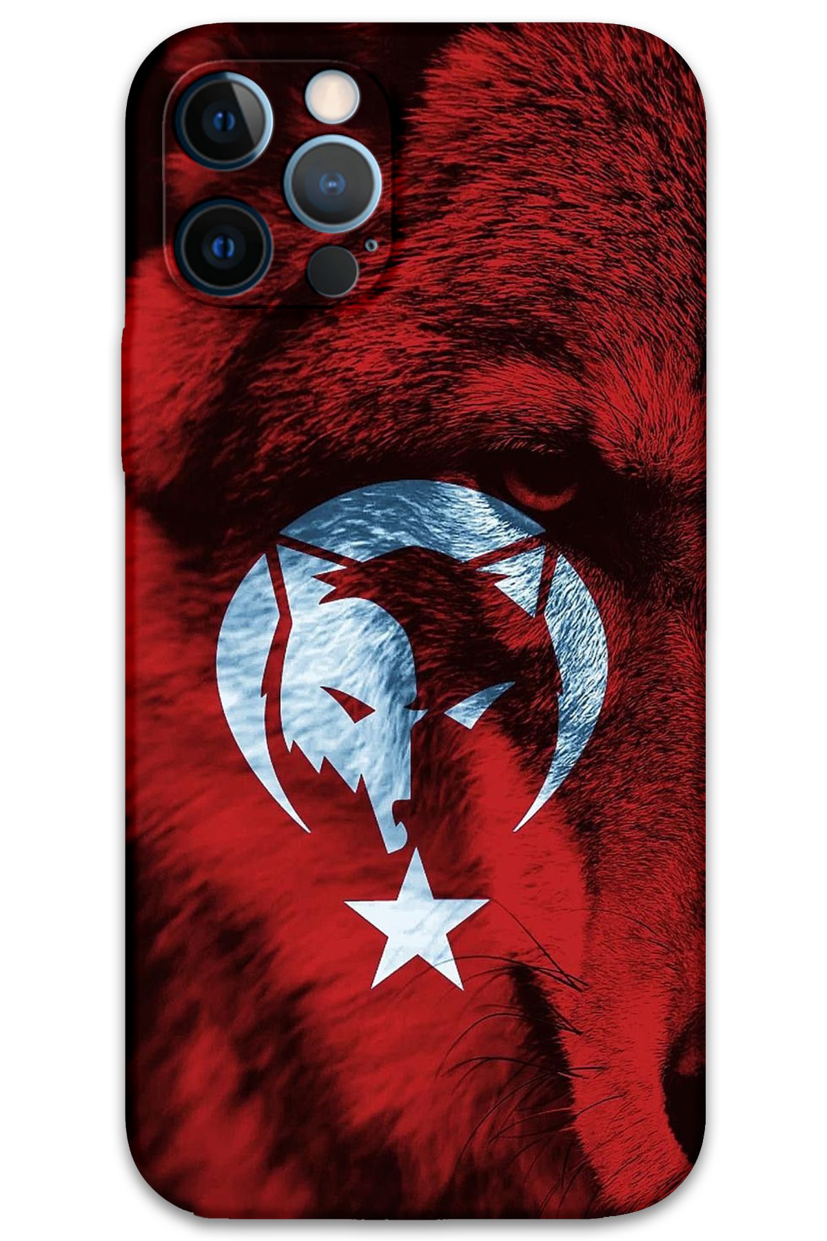 Gramaphone iPhone 12 Pro Uyumlu Türk Bayrağı Desenli Telefon Kılıfı + Ekran Koruyucu - 5856