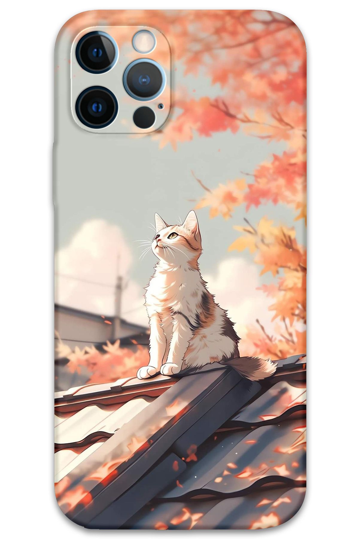 Gramaphone iPhone 12 Pro Max Uyumlu Kedi Desenli Telefon Kılıfı + Ekran Koruyucu - 5784
