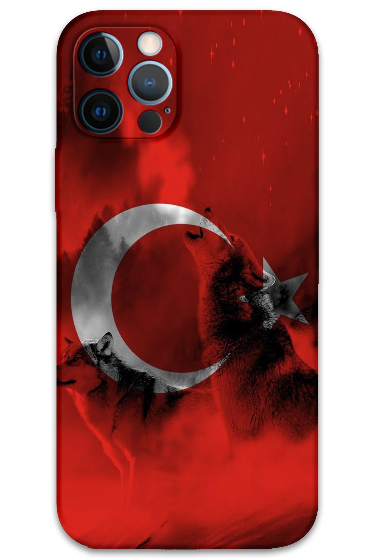 Gramaphone iPhone 12 Pro Uyumlu Türk Bayrağı Desenli Telefon Kılıfı + Ekran Koruyucu - 5854