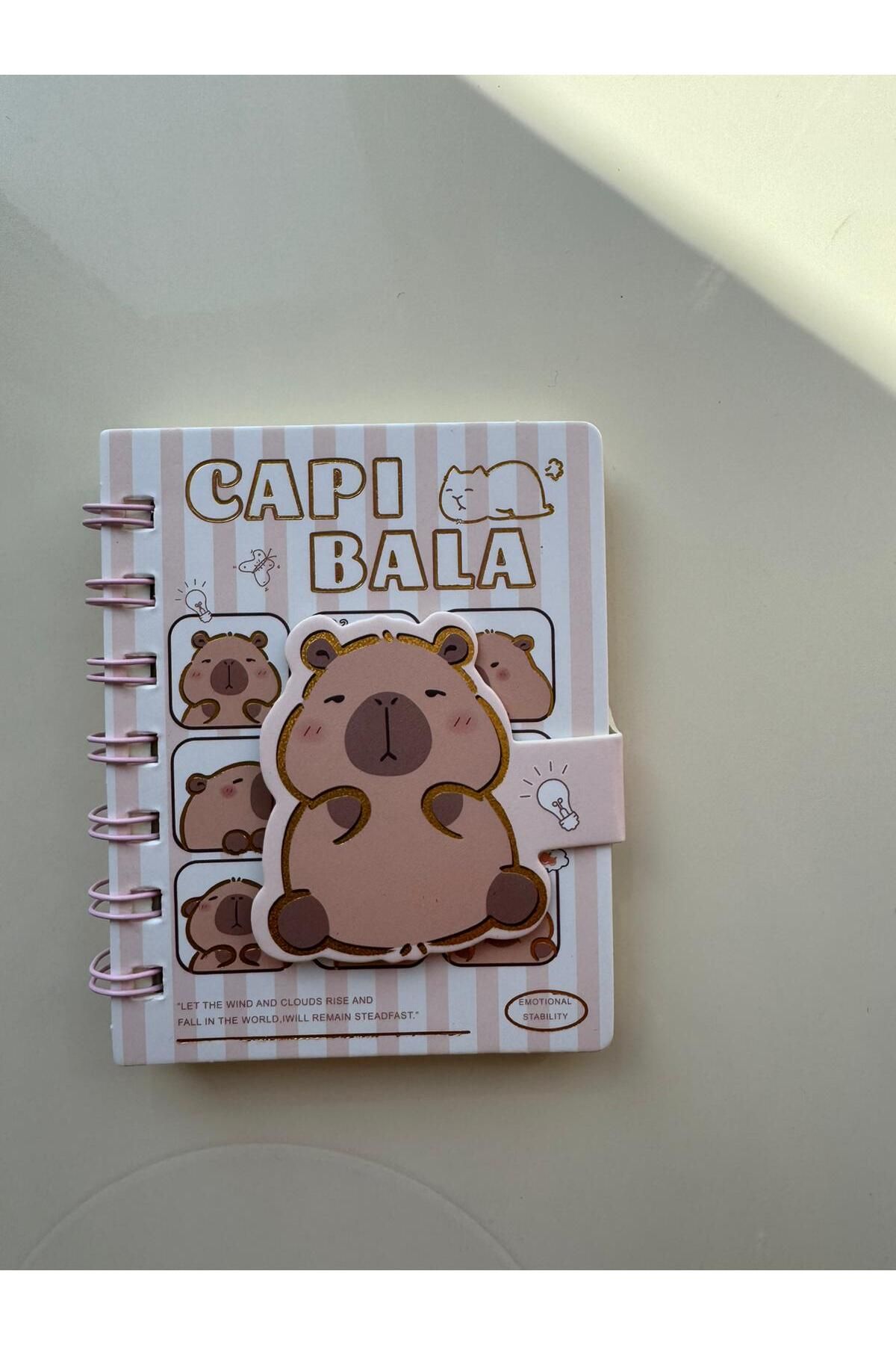 PARLAK EVREN CAPİBALA CIRTCIRTLI NOT DEFTERİ