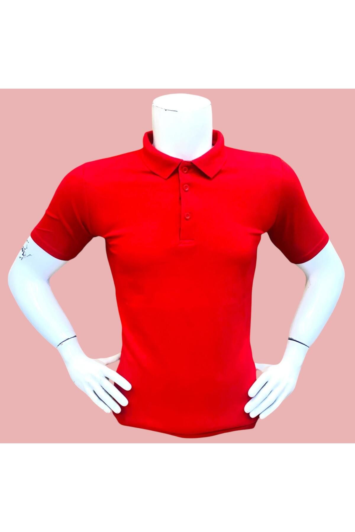 GÖMLEK GALERİSİ Erkek %100 Pamuk Regular Kesim Polo Yaka Yazlık T-Shirt