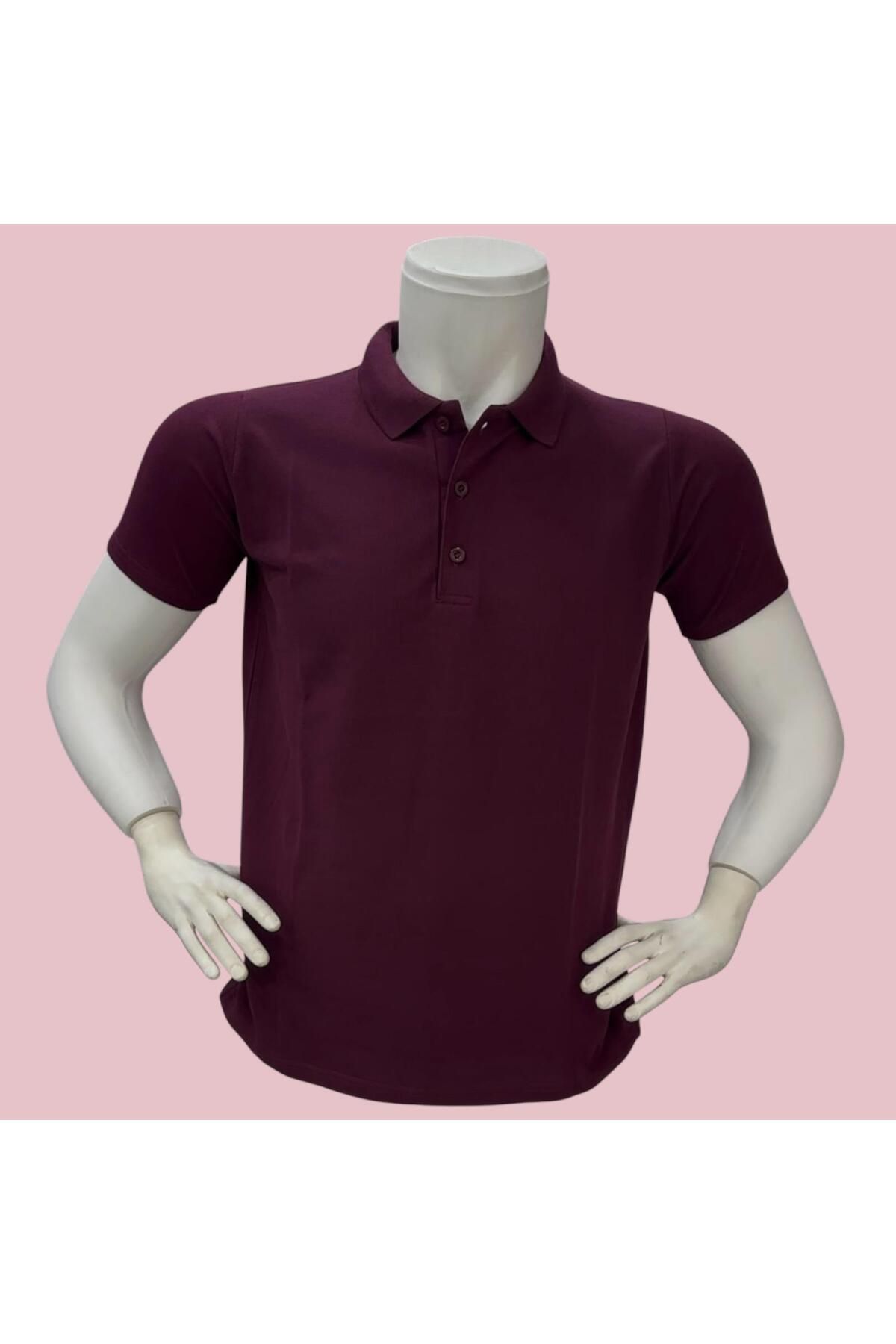 GÖMLEK GALERİSİ Erkek %100 Pamuk Regular Kesim Polo Yaka Yazlık T-Shirt