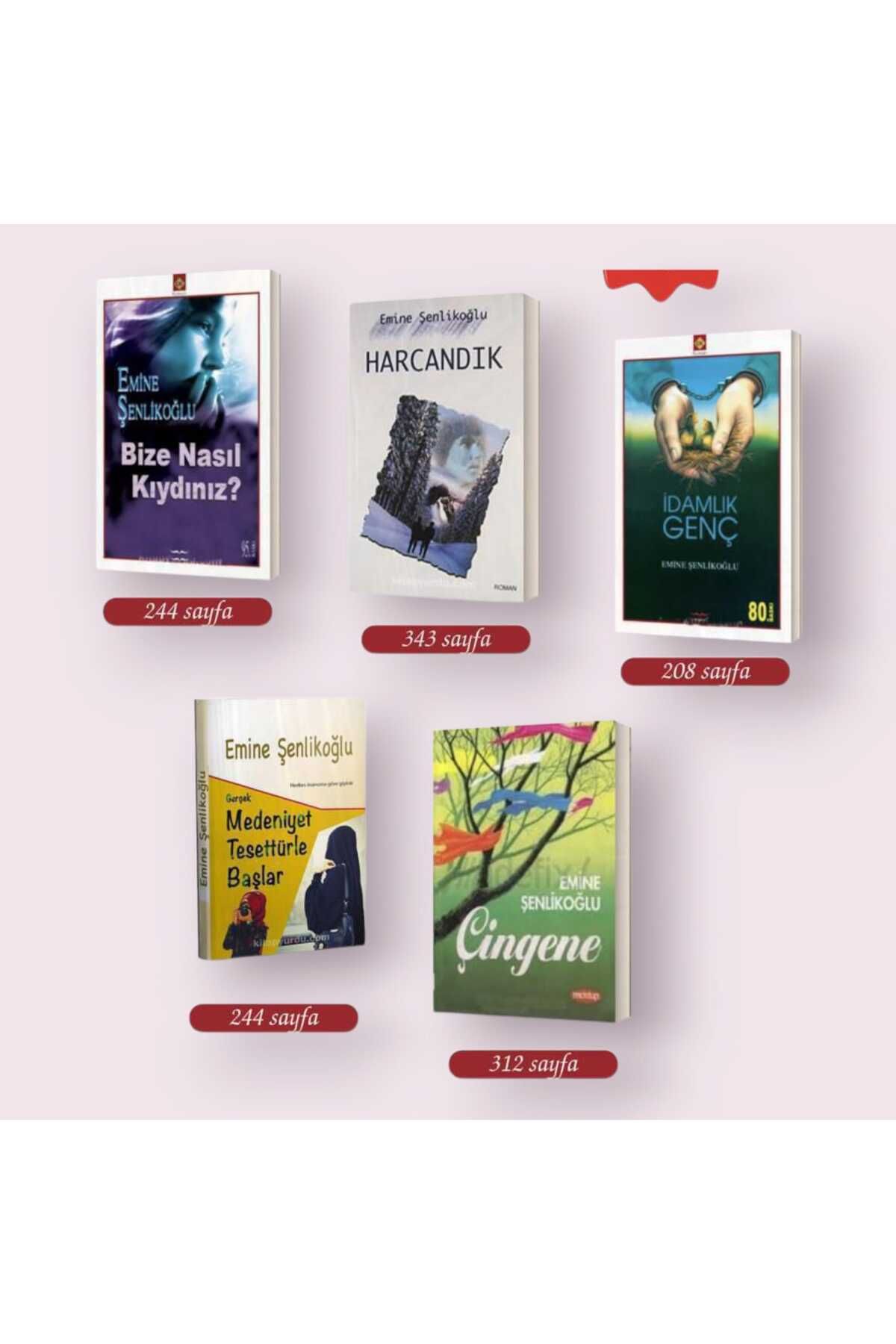 Mektup Yayınları SET 2: BİZE NASIL KIYDINIZ, HARCANDIK, İDAMLIK GENÇ, MEDENİYET TESETTÜRLE BAŞLAR, ÇİNGENE