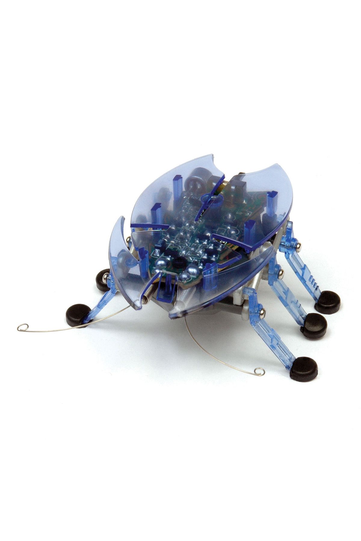 NECO TOYS Hexbug Böcek Mavi