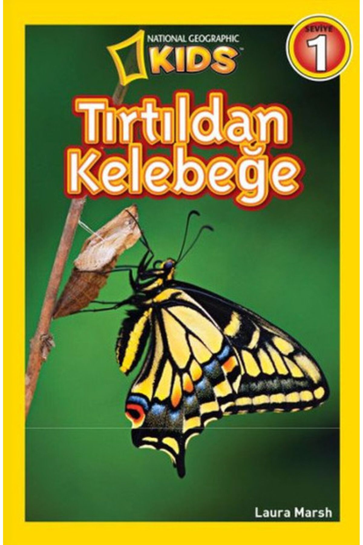 Destek Yayınları Kids Tırtıldan Kelebeğe
