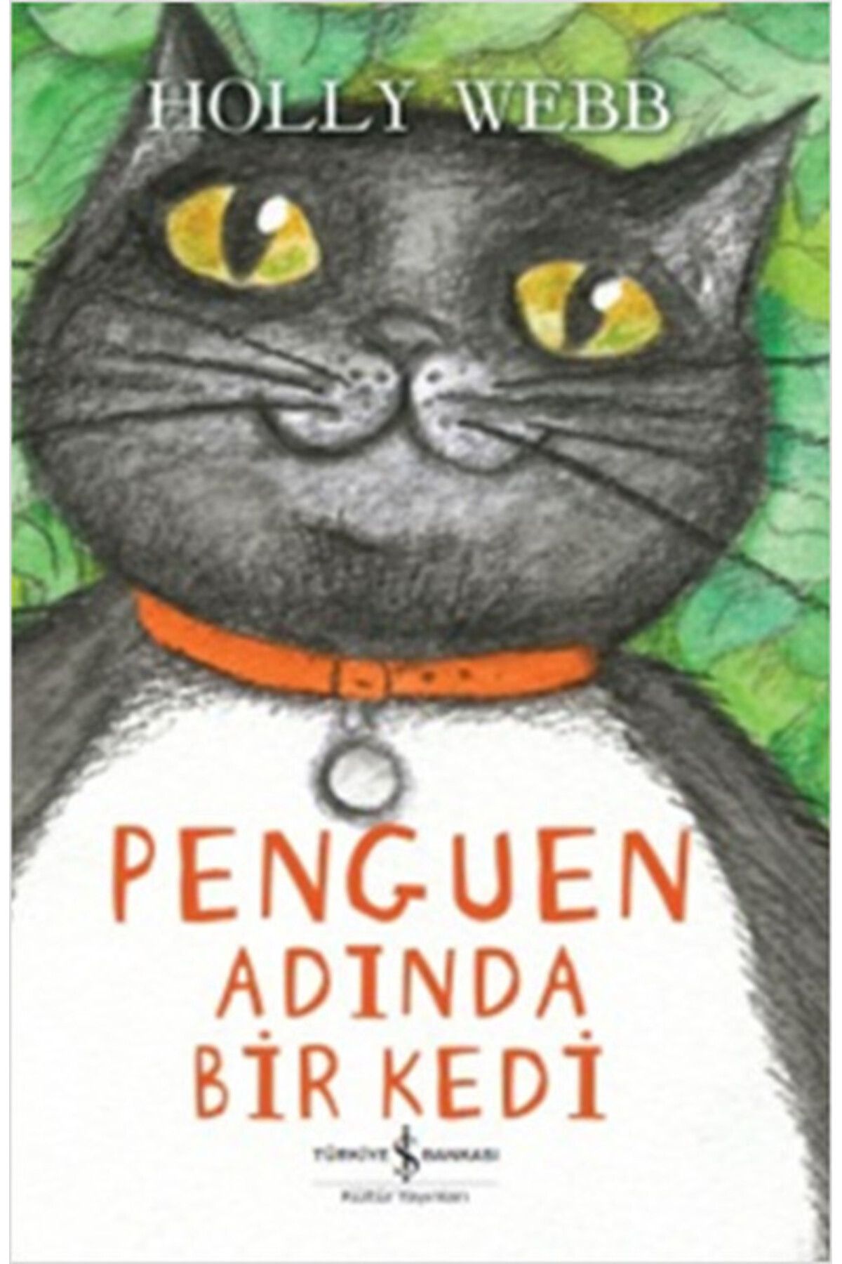 Destek Yayınları Penguen Adında Bir Kedi