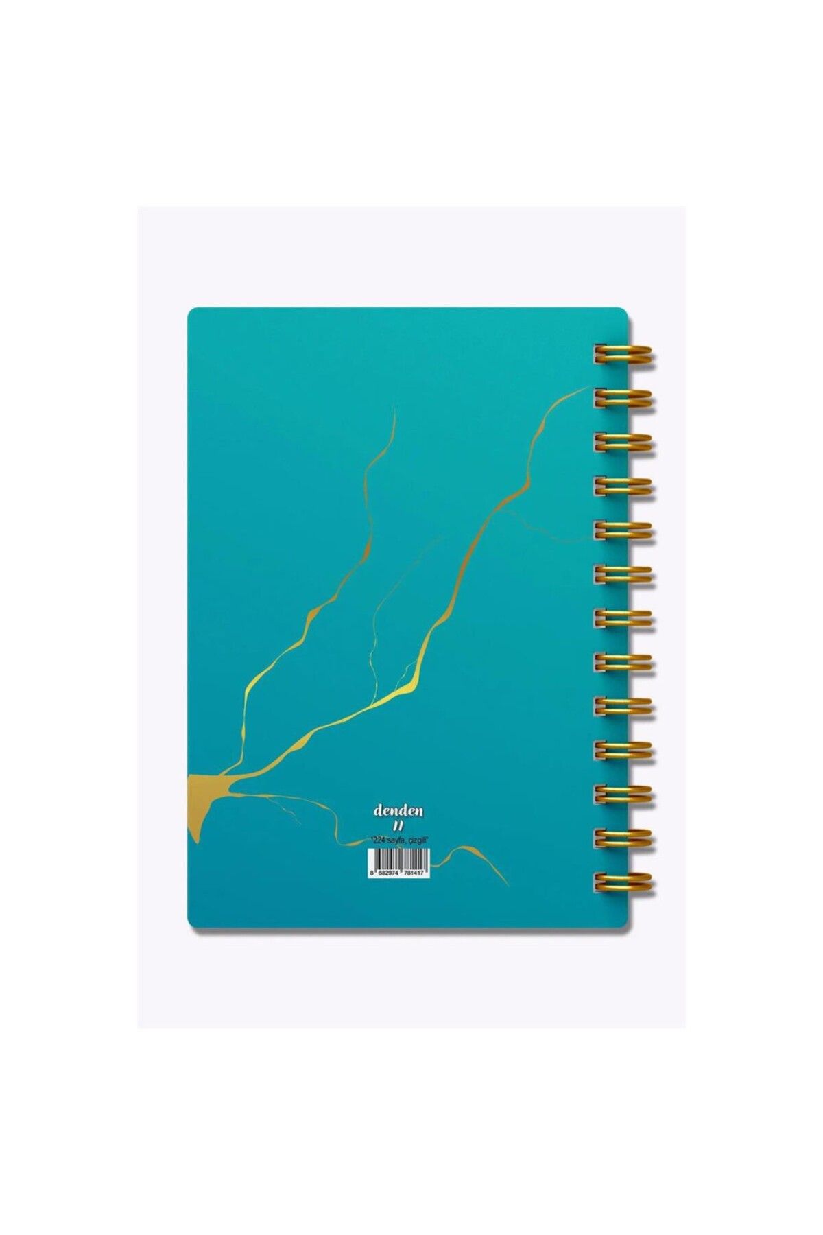 denden-Marble Turquoise 17X24 Striped Notebook 3