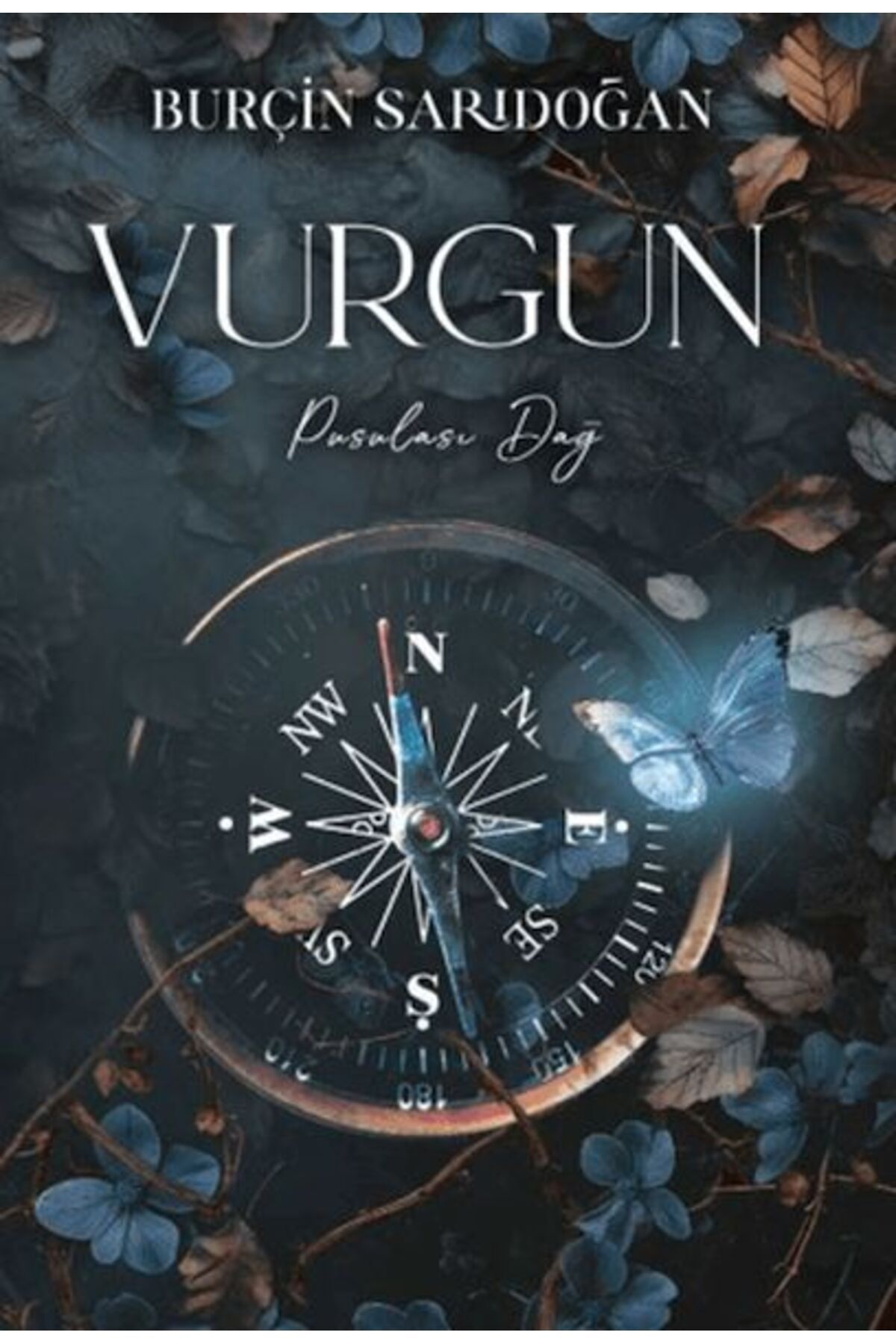 lapis kitap Vurgun - 2 Pusulası Dağ