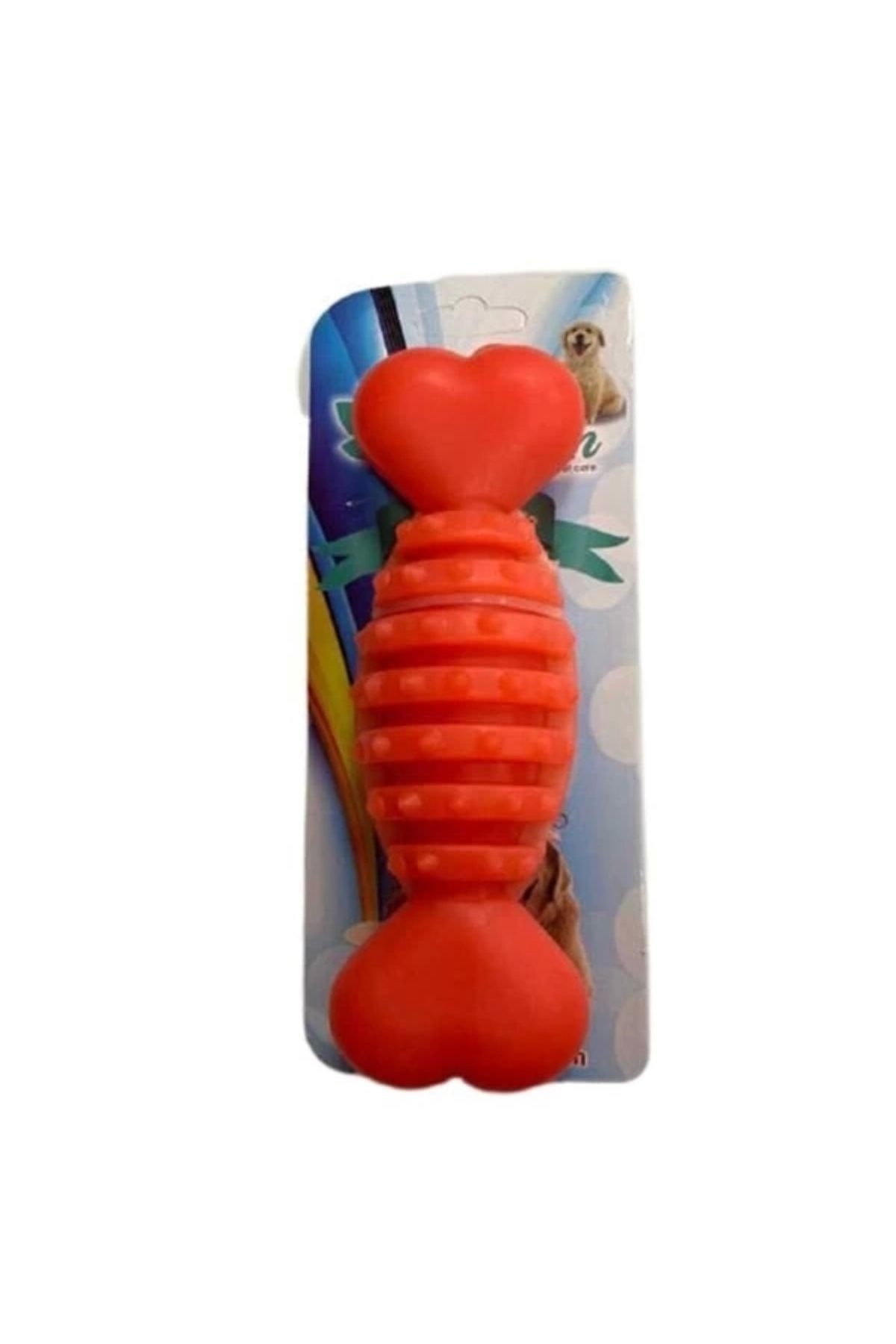 No8 Home Petzz Termoplastik Dikenli Halter Kemik Köpek Oyuncağı Xlarge