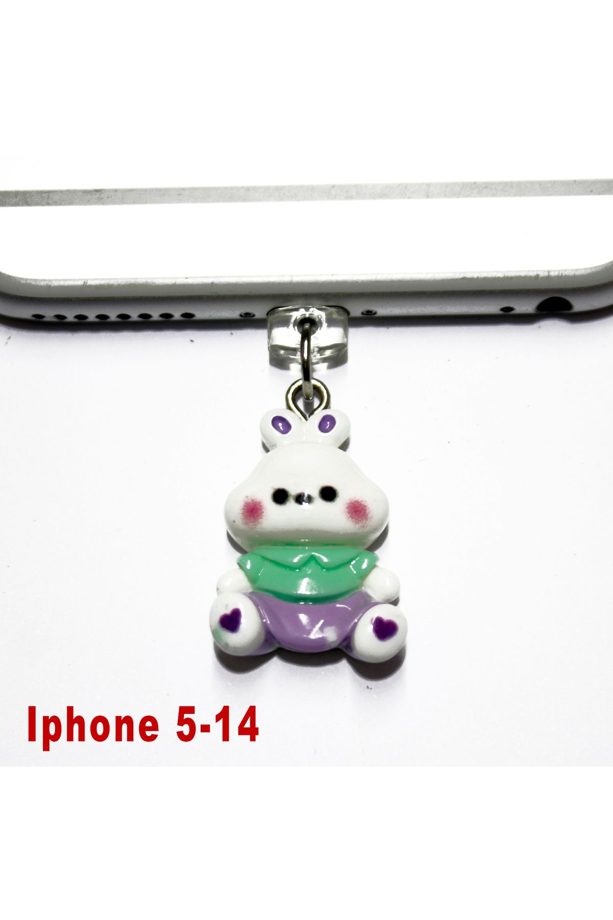 BK Design Iphone 5-14 3D Akrilik Figürlü Telefon Şarj Portu Toz Tıpası Toz Tıkacı Charm IPAK3026