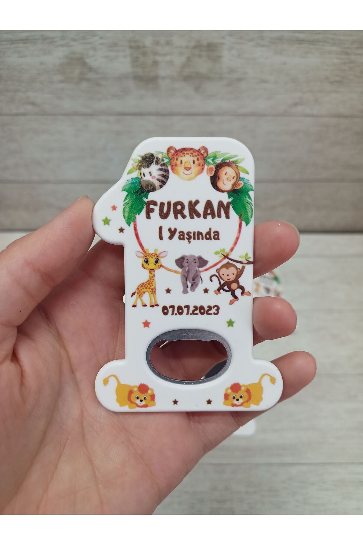 Pi Dekorasyon 25 adet bir şeklinde açacak magnet safari temali