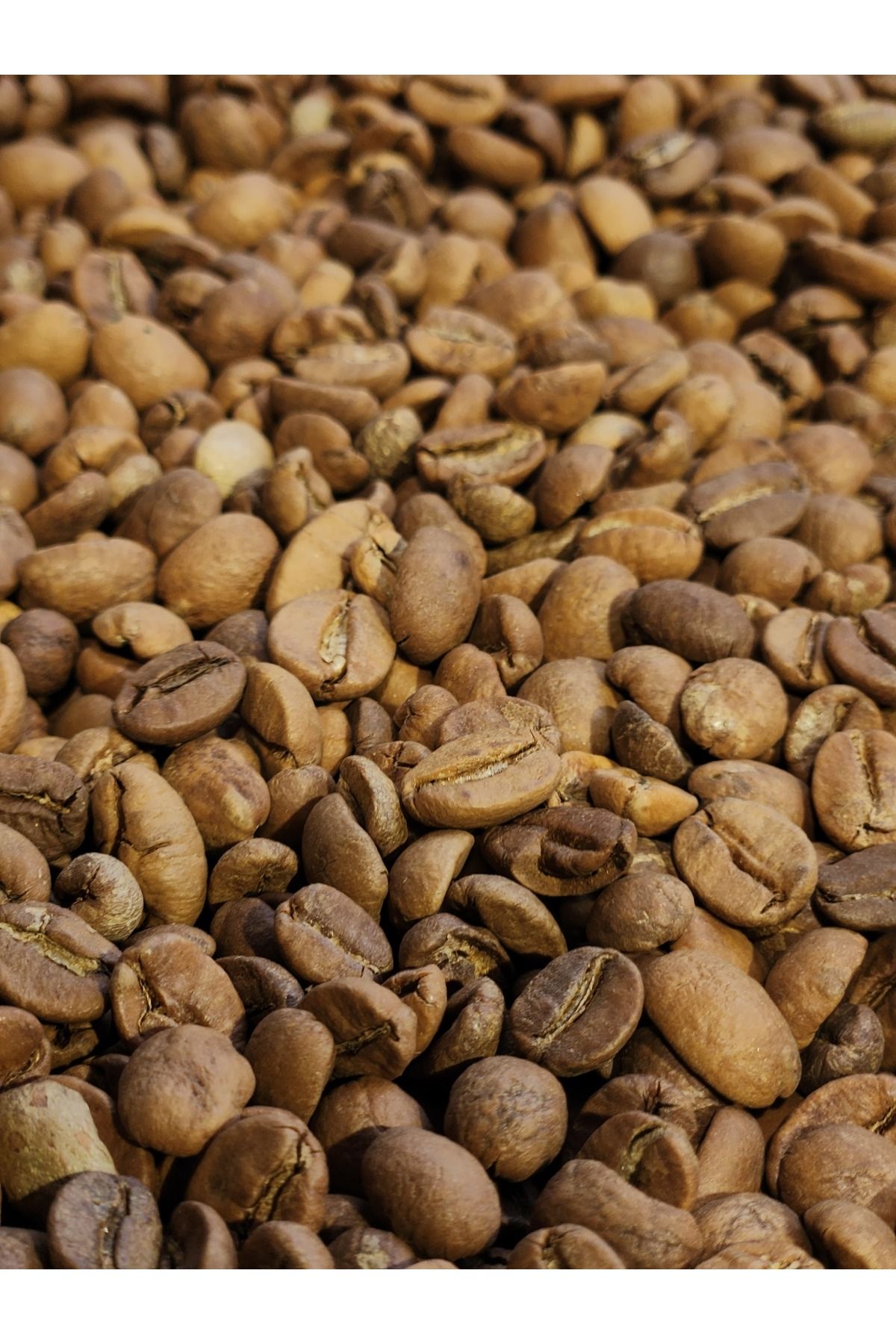 TOPRAKZADE Türk Kahvesi ( 100 Gr)