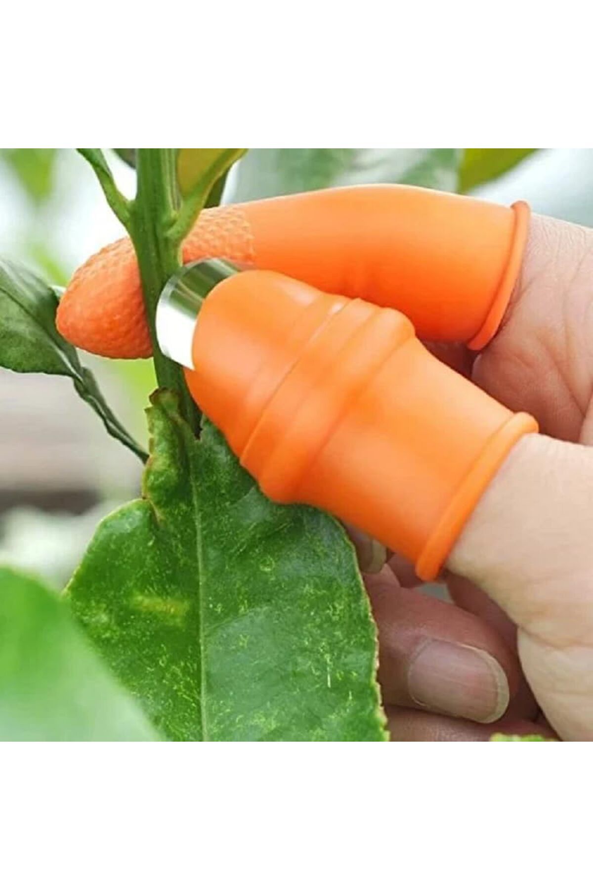 STOREMAX Ezg Baş Parmak Sebze Kesme Eldiveni, Pratik Silikon Sebze Meyve Soyucu Ayıklayıcı Aparat Ezsnsho