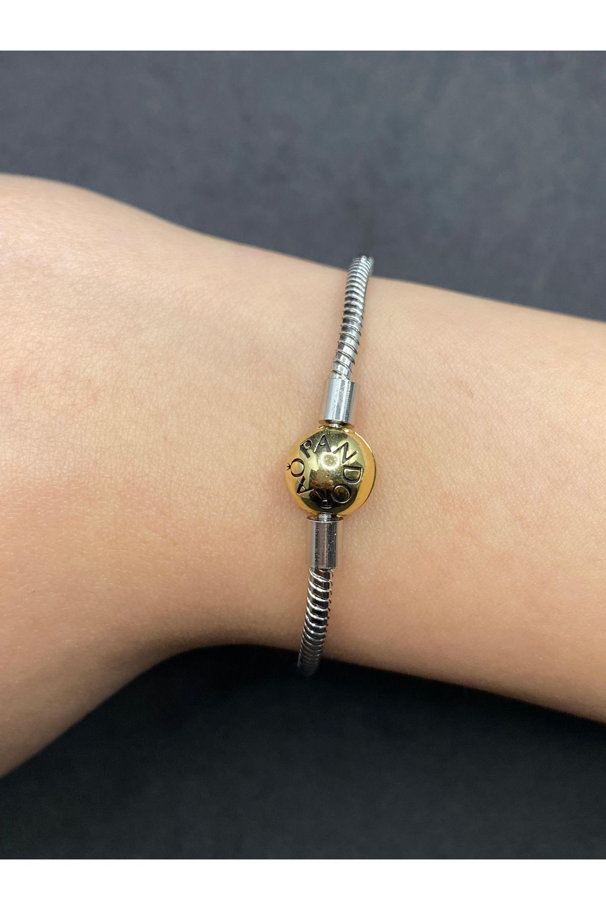 Jiji Jewelery Marka Charm Yılan Zincir Klipsli Gümüş Renk Çelik Bileklik
