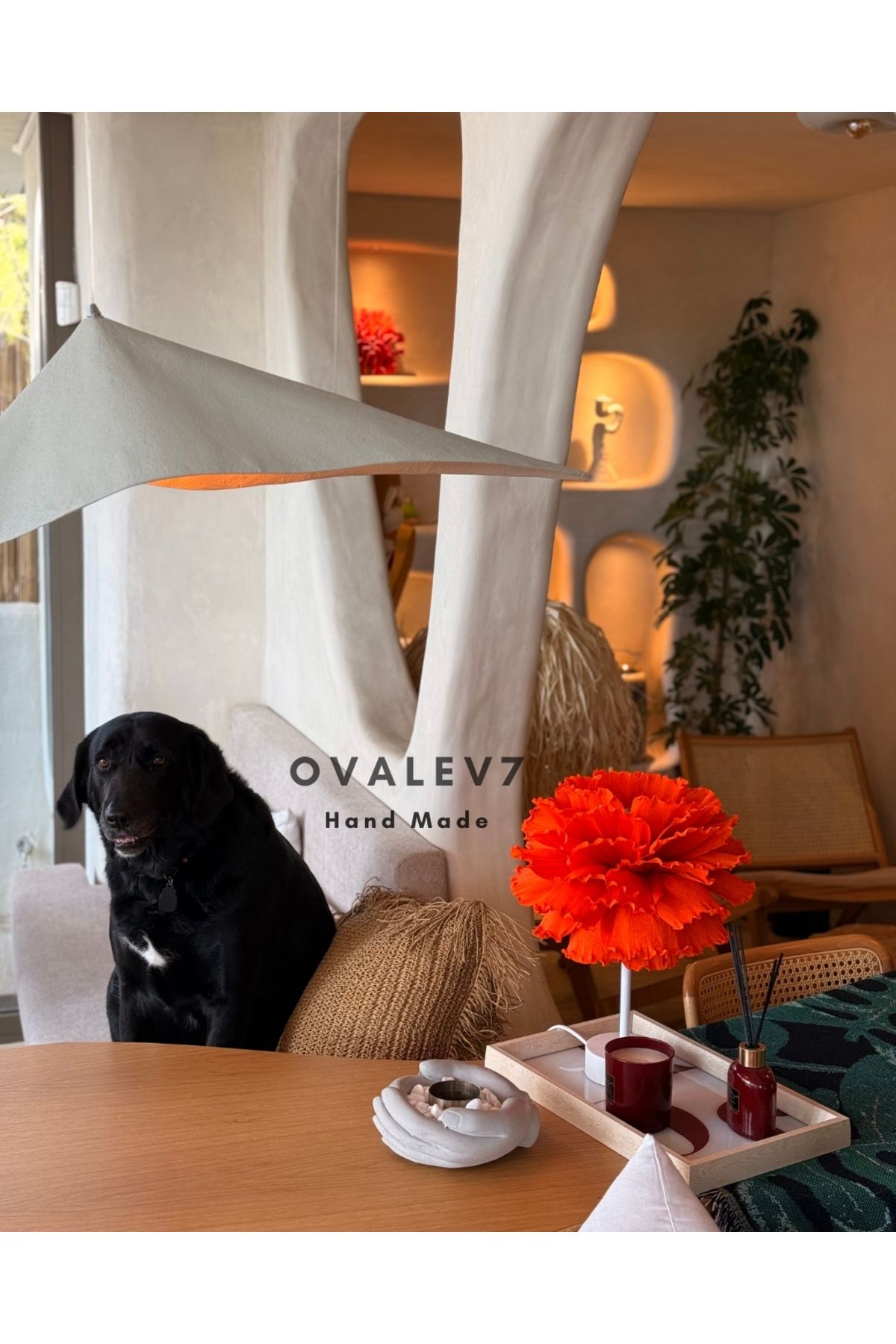 OVALEV Özel Tasarım Medusa Model Abajur Aydınlatma